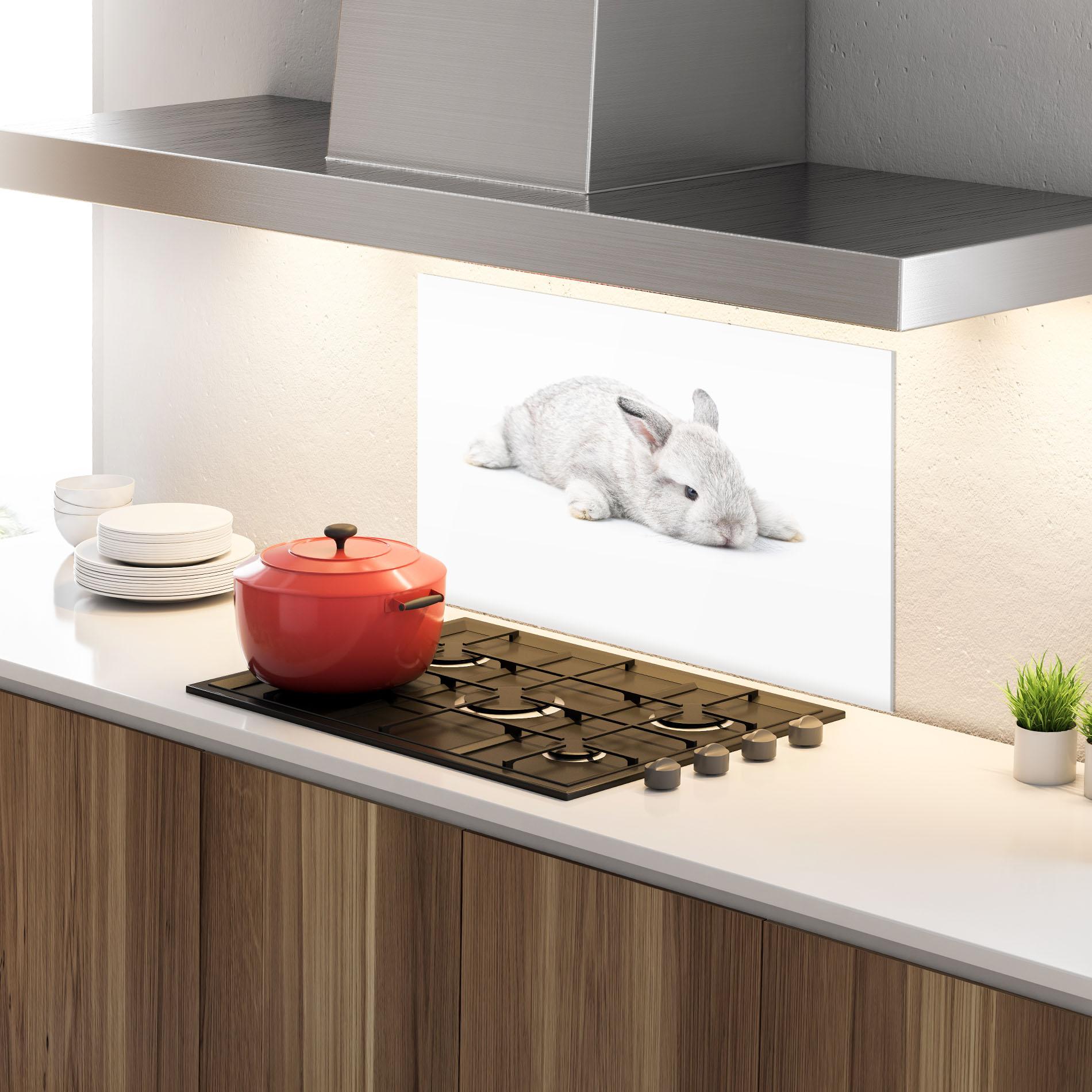 Panou Sticla Bucatarie Light Gray Bunny Sleeping mockup 4