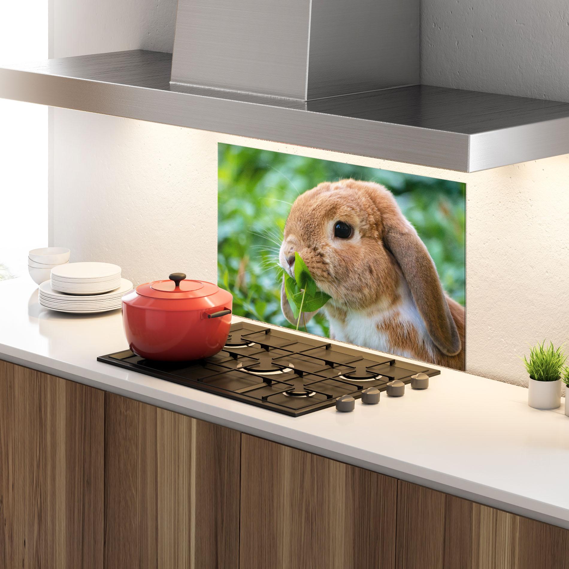 Panou Sticla Bucatarie Orange Bunny Eating mockup 4