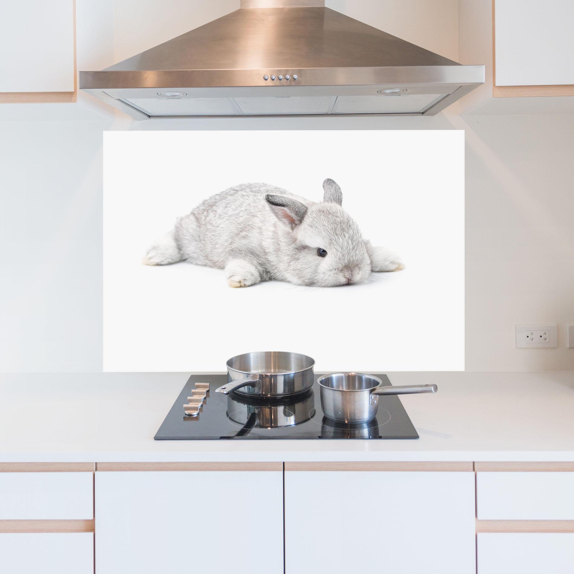 Panou Sticla Bucatarie Light Gray Bunny Sleeping mockup 5