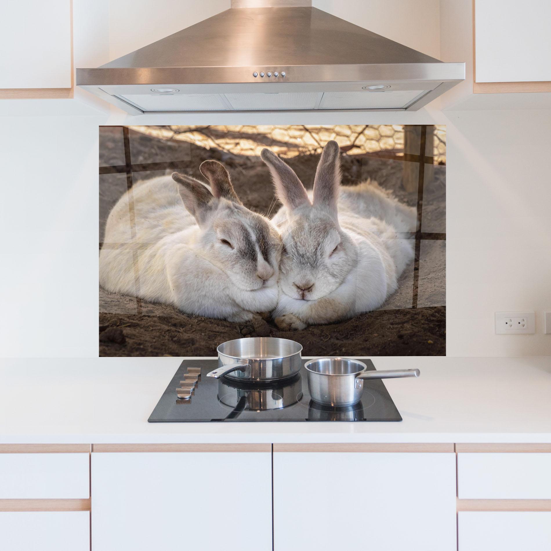 Panou Sticla Bucatarie Light Grey Bunny Sleeping mockup 5