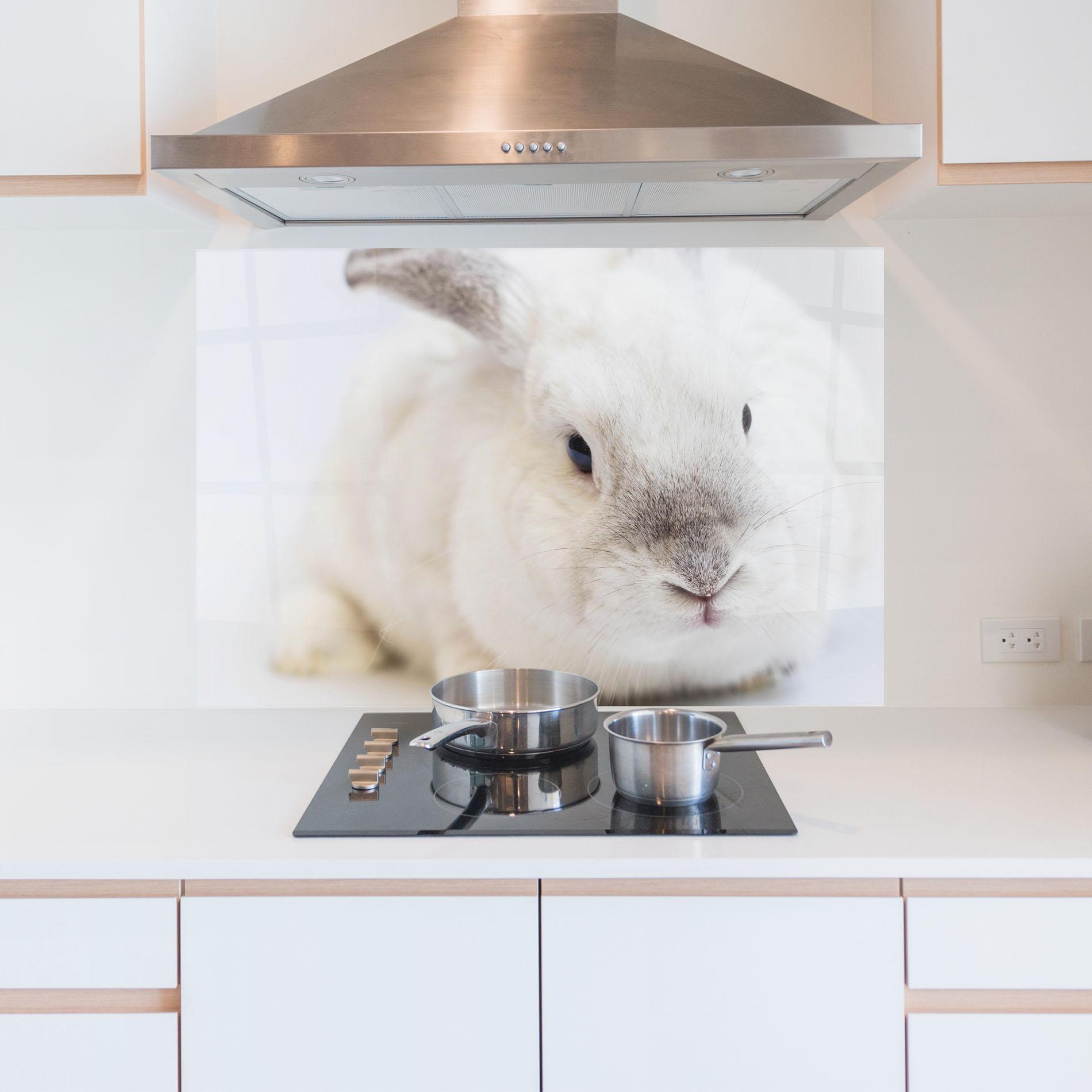 Panou Sticla Bucatarie Light Grey Bunny mockup 5