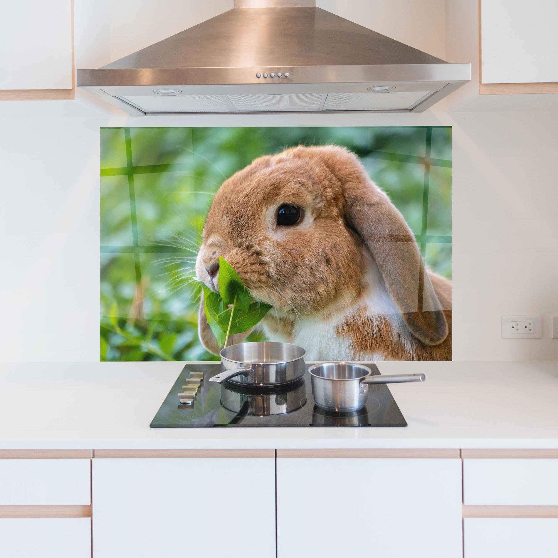 Panou Sticla Bucatarie Orange Bunny Eating mockup 5