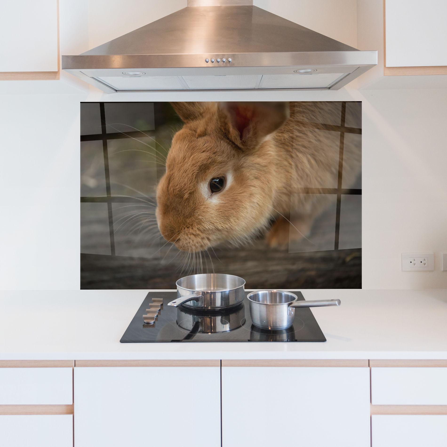 Panou Sticla Bucatarie Orange Bunny Looking mockup 5