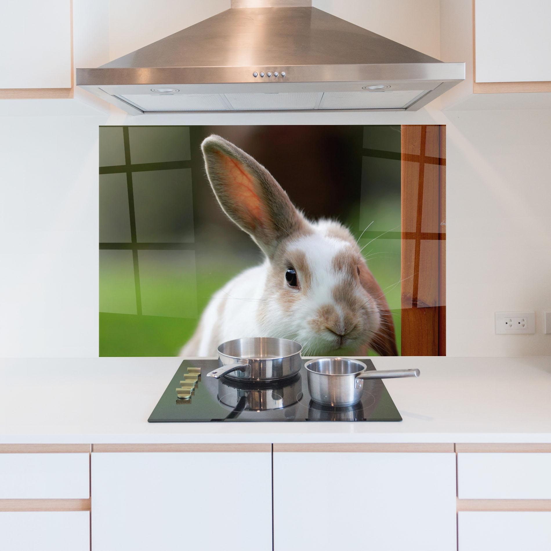 Panou Sticla Bucatarie Up Ear Bunny mockup 5