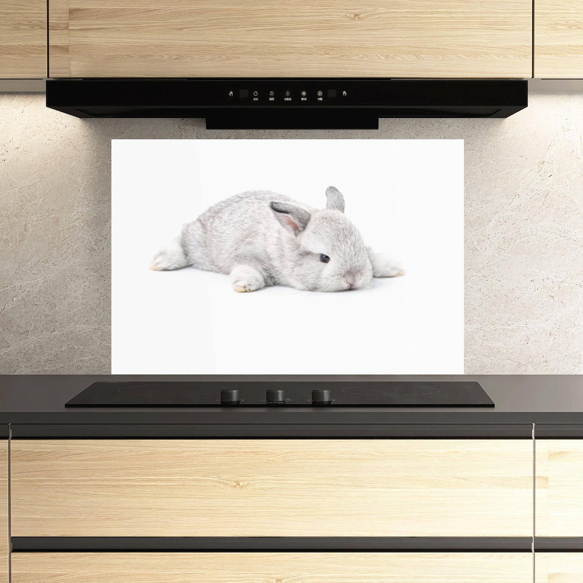 Panou Sticla Bucatarie Light Gray Bunny Sleeping mockup 3