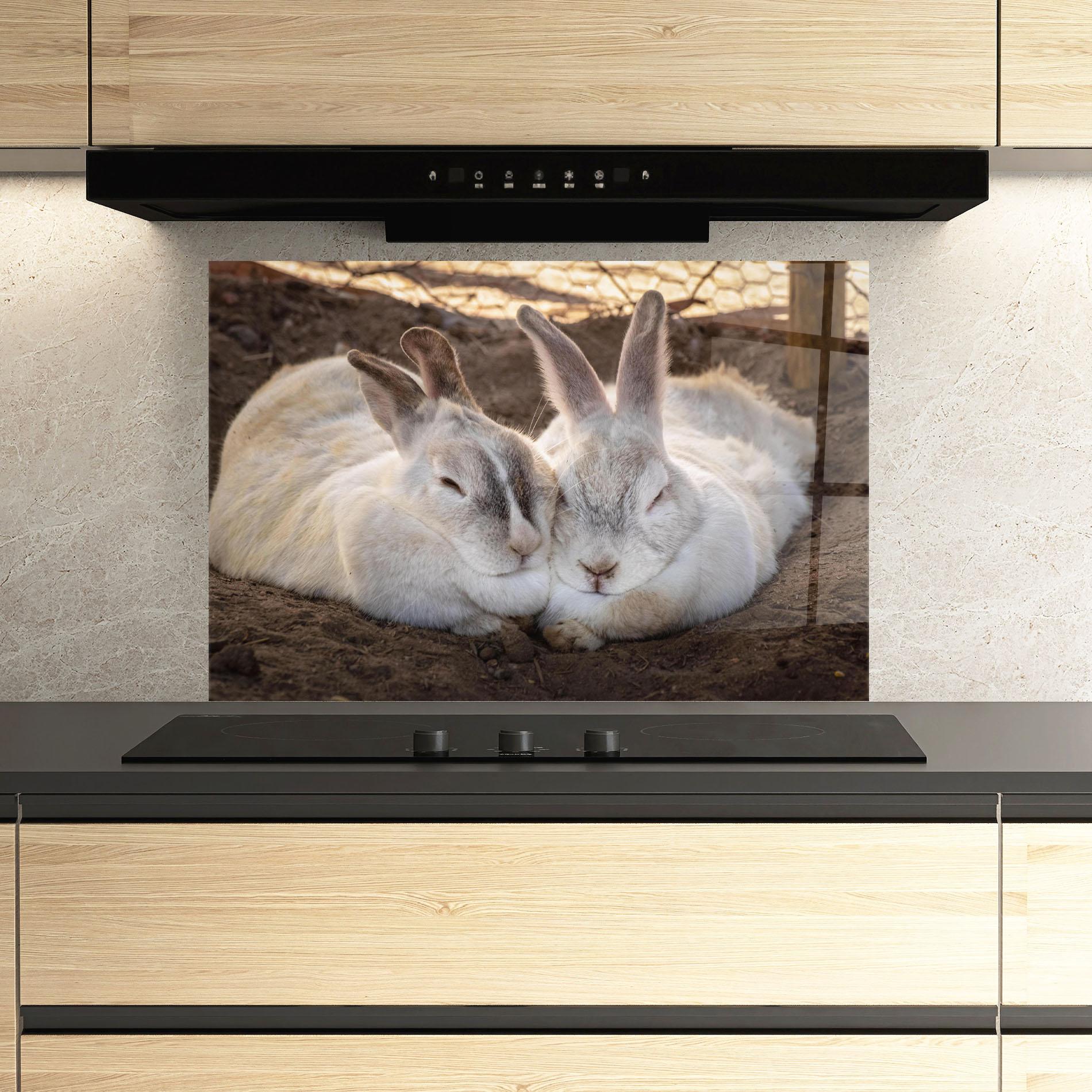 Panou Sticla Bucatarie Light Grey Bunny Sleeping mockup 3