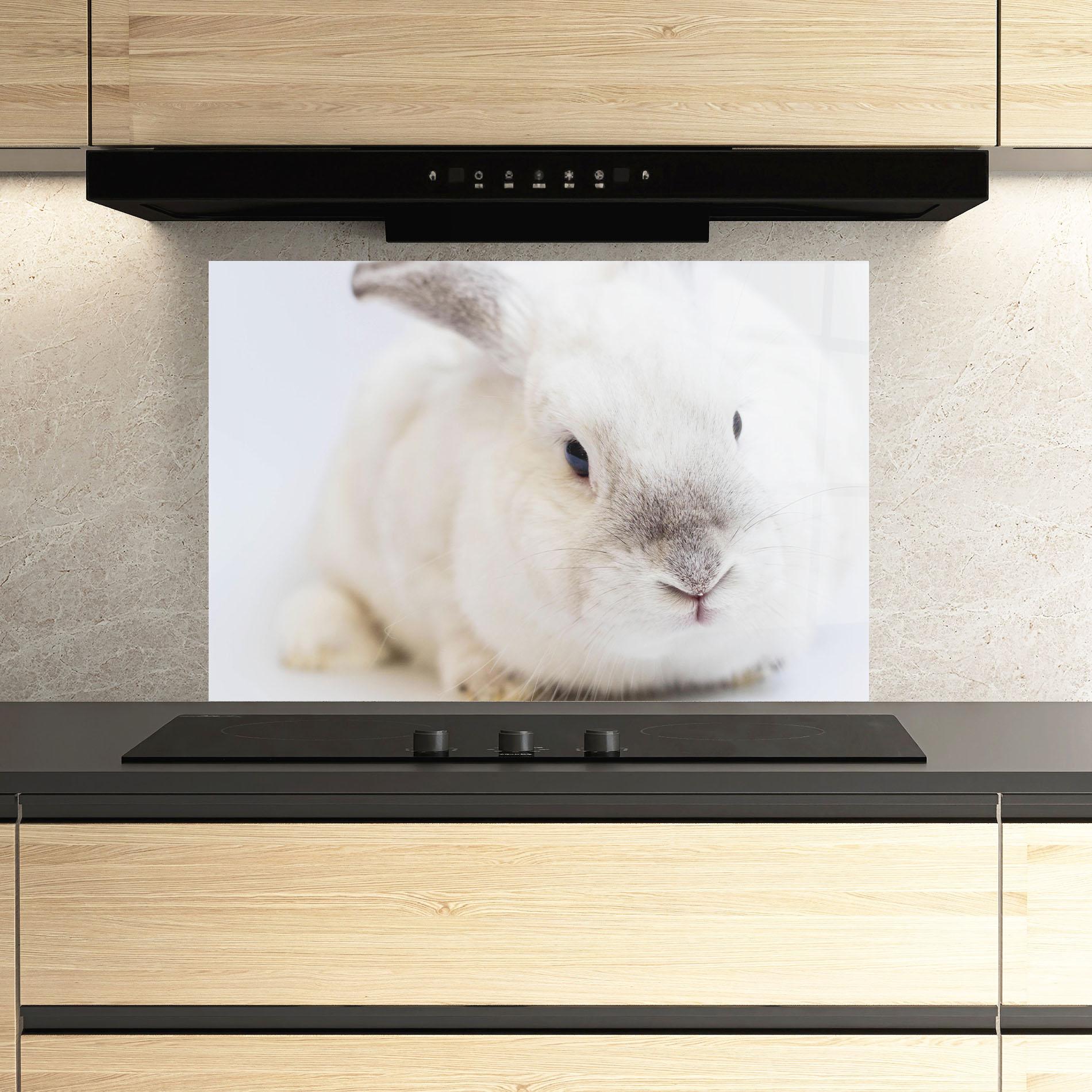 Panou Sticla Bucatarie Light Grey Bunny mockup 3