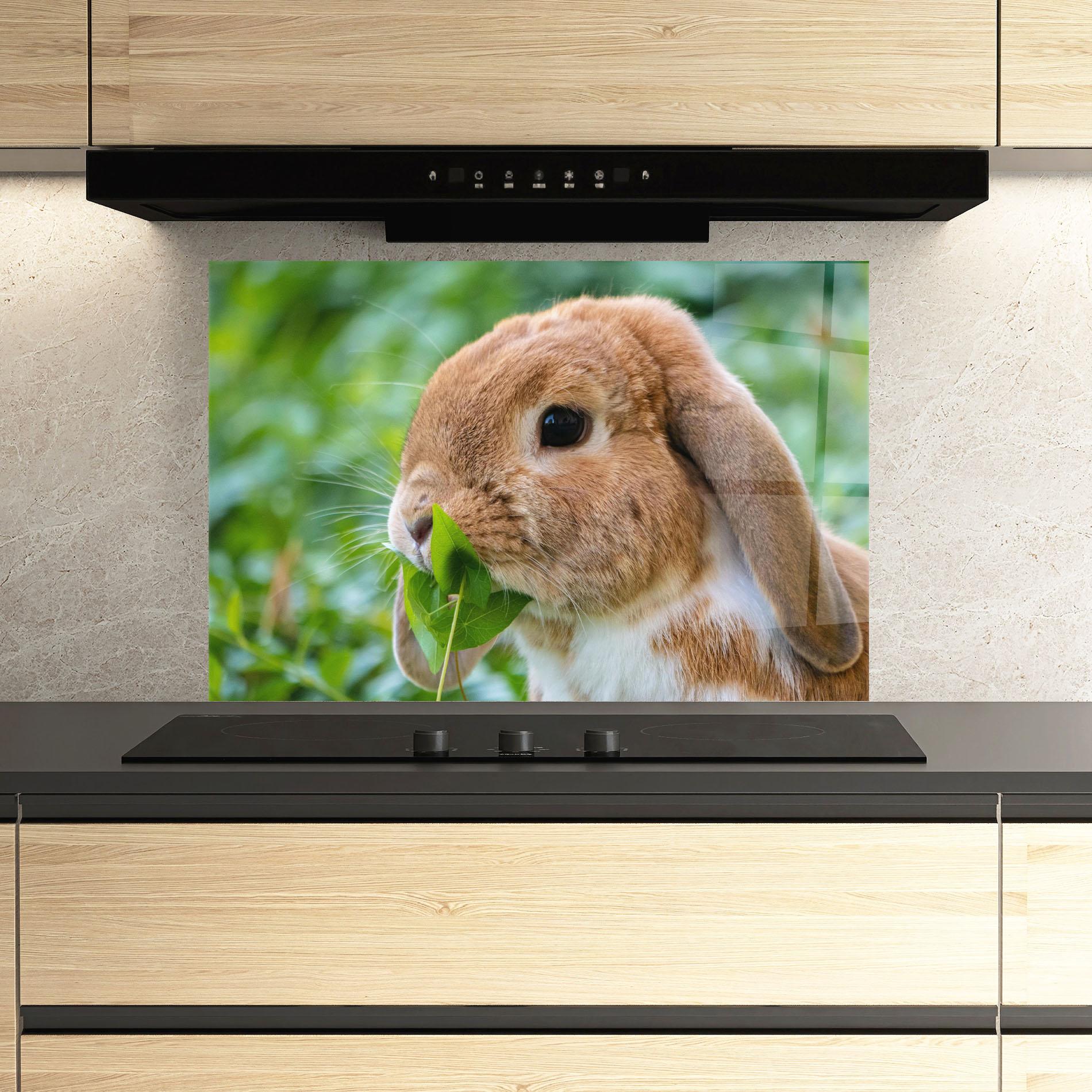 Panou Sticla Bucatarie Orange Bunny Eating mockup 3