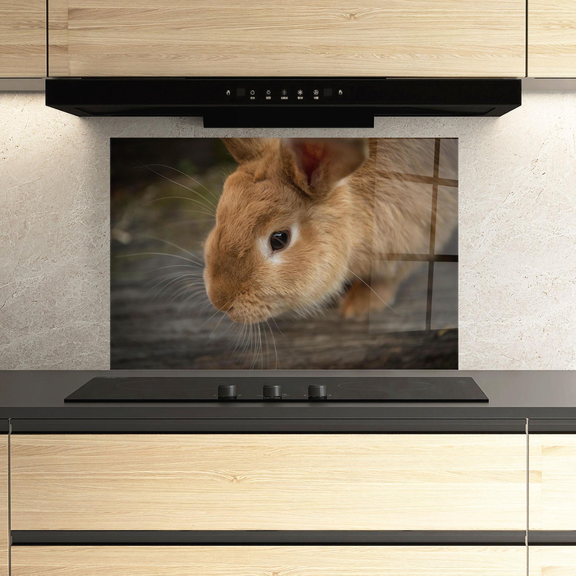 Panou Sticla Bucatarie Orange Bunny Looking mockup 3