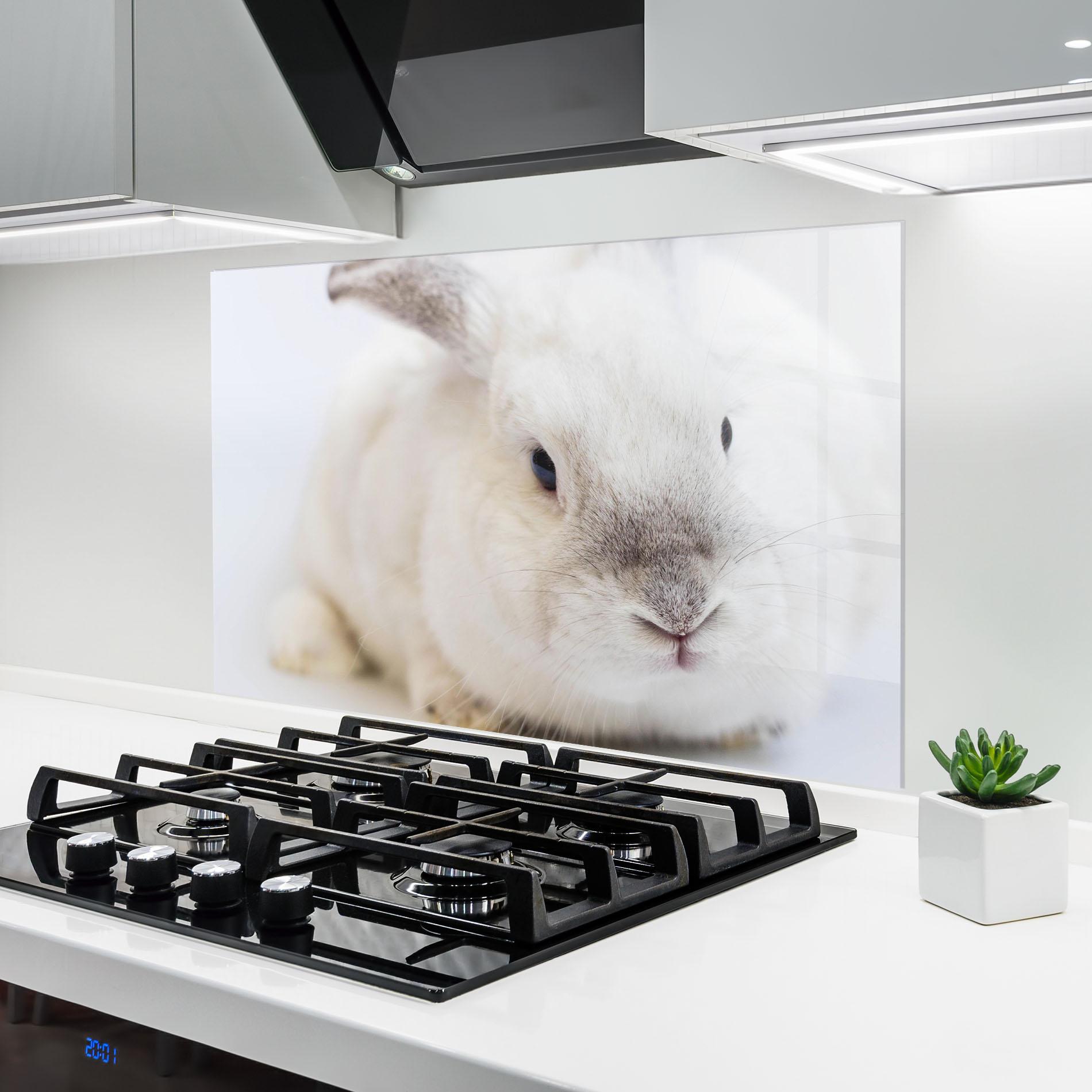 Panou Sticla Bucatarie Light Grey Bunny mockup 6