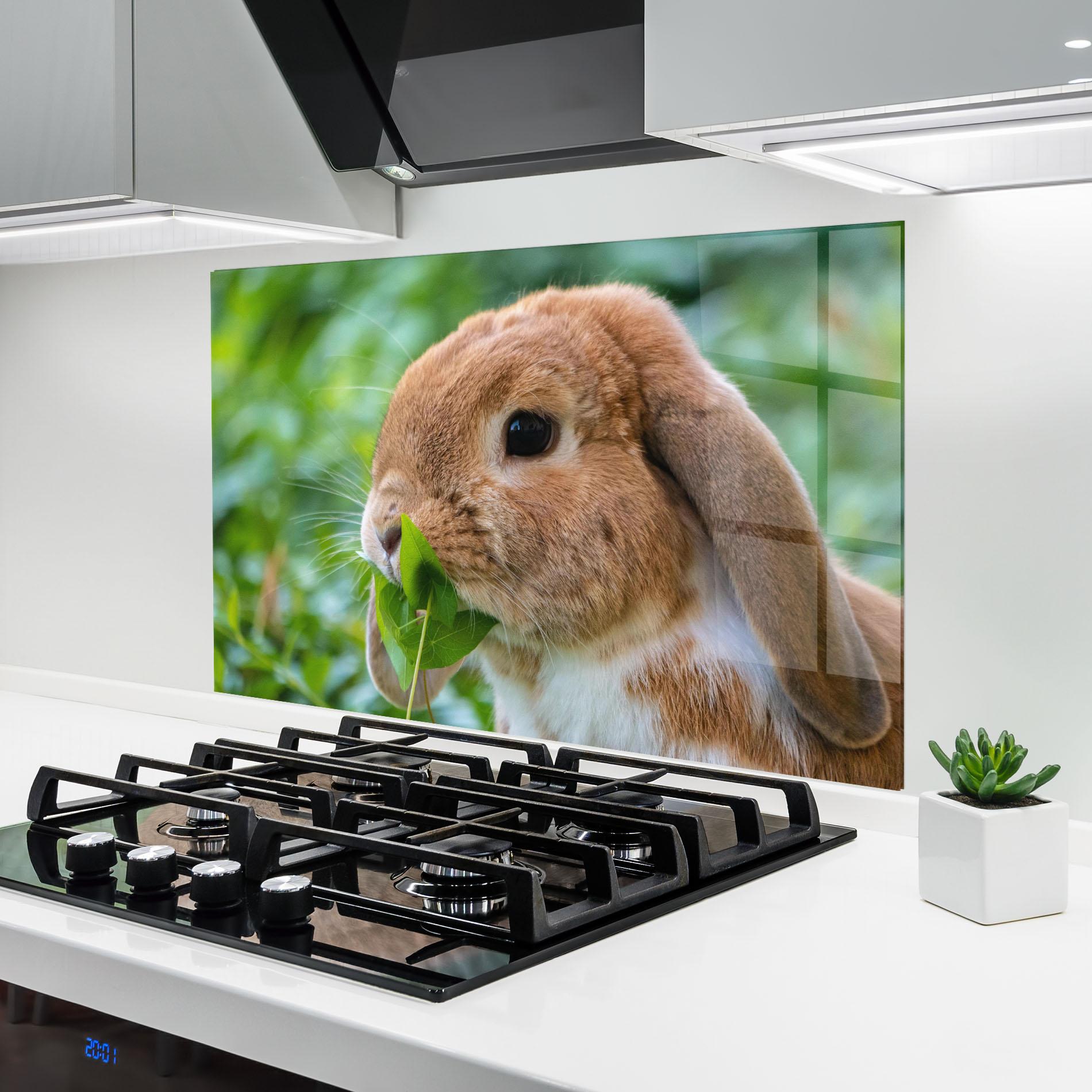 Panou Sticla Bucatarie Orange Bunny Eating mockup 6