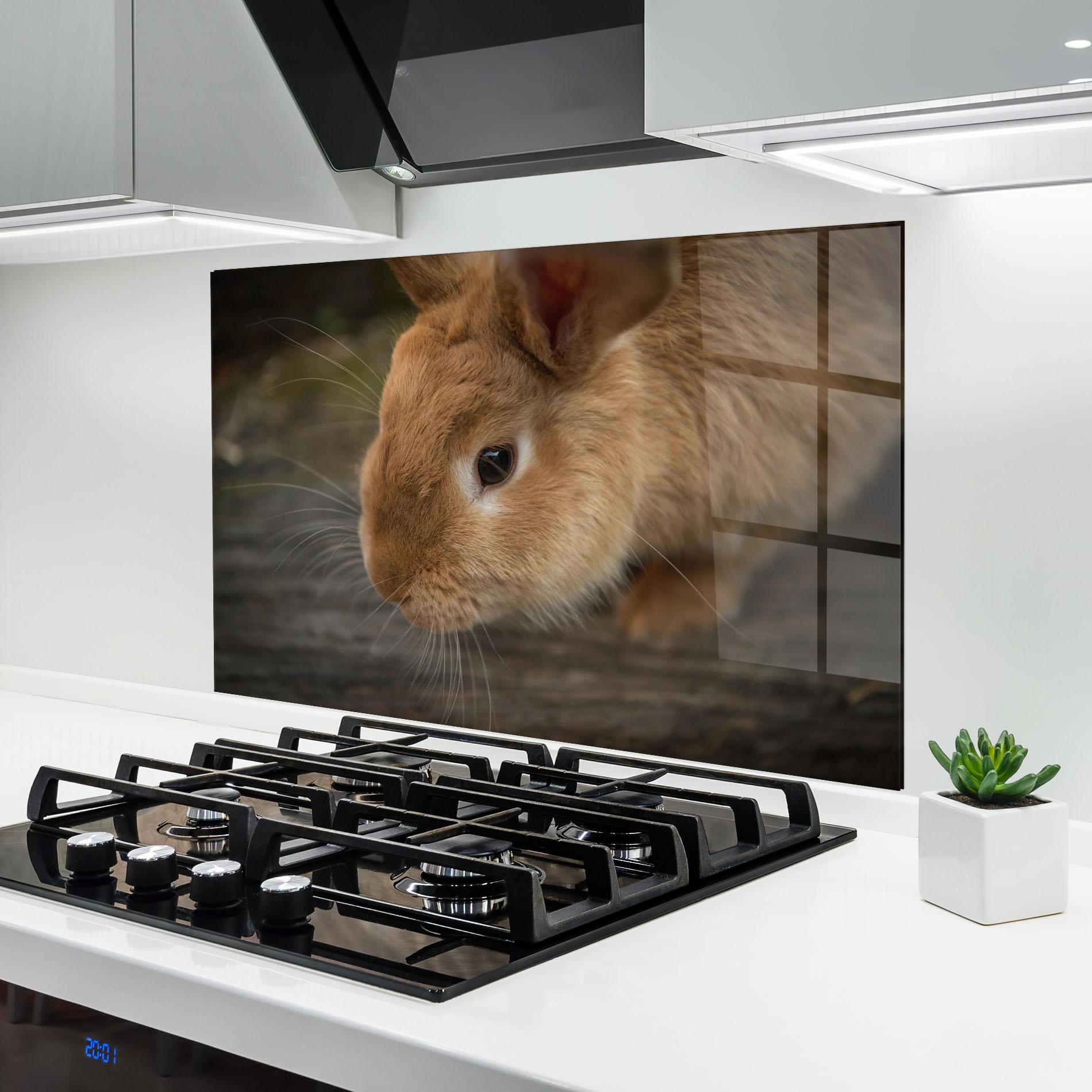 Panou Sticla Bucatarie Orange Bunny Looking mockup 6