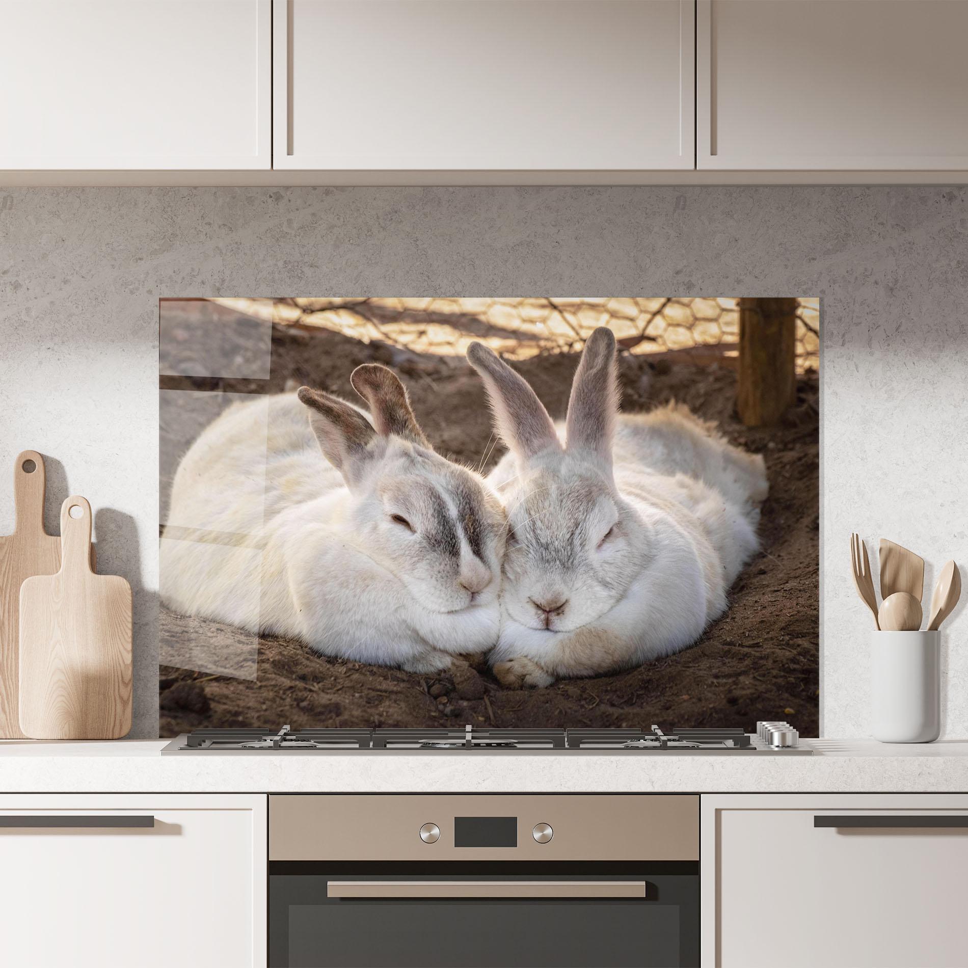 Panou Sticla Bucatarie Light Grey Bunny Sleeping mockup 7