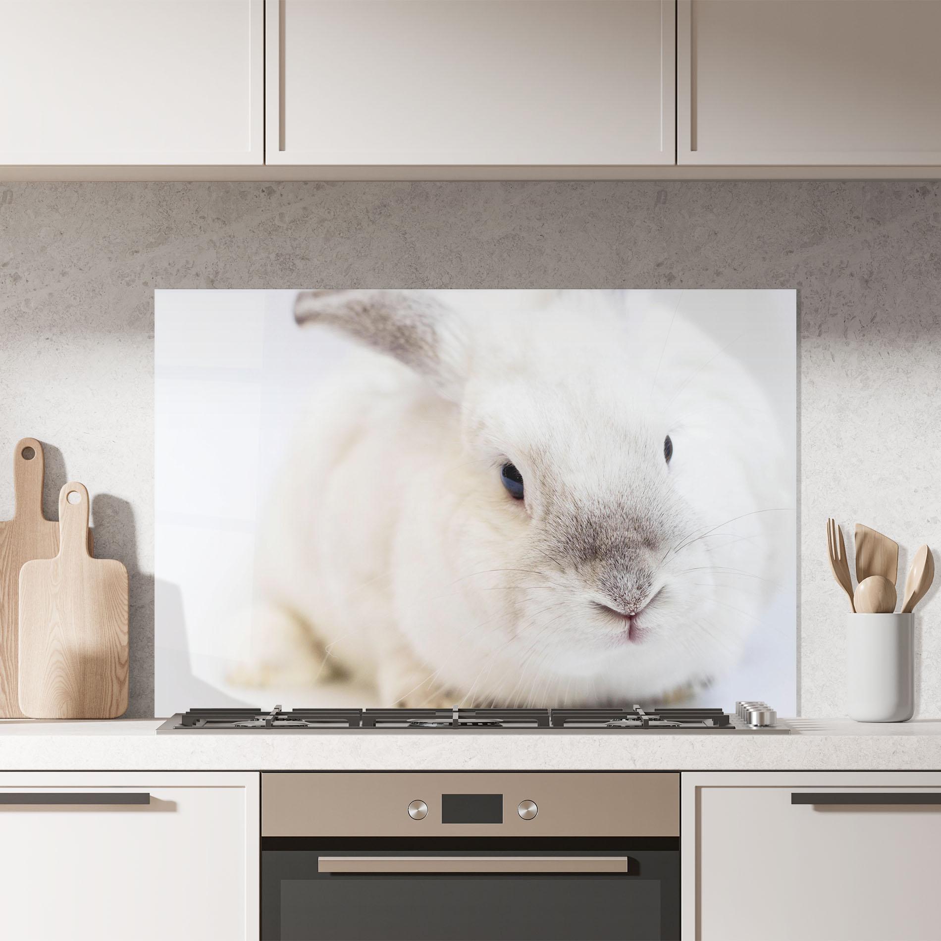 Panou Sticla Bucatarie Light Grey Bunny mockup 7