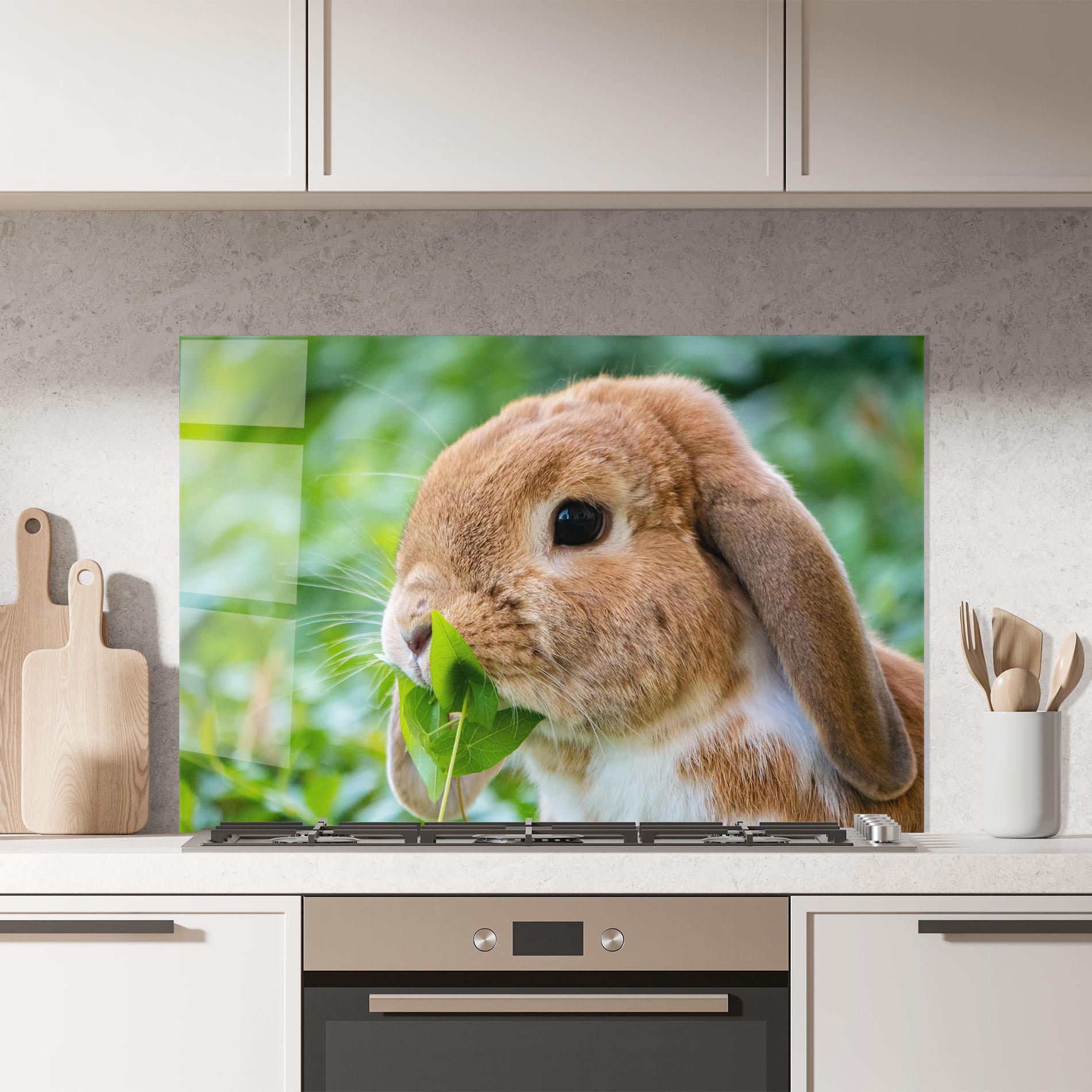 Panou Sticla Bucatarie Orange Bunny Eating mockup 7