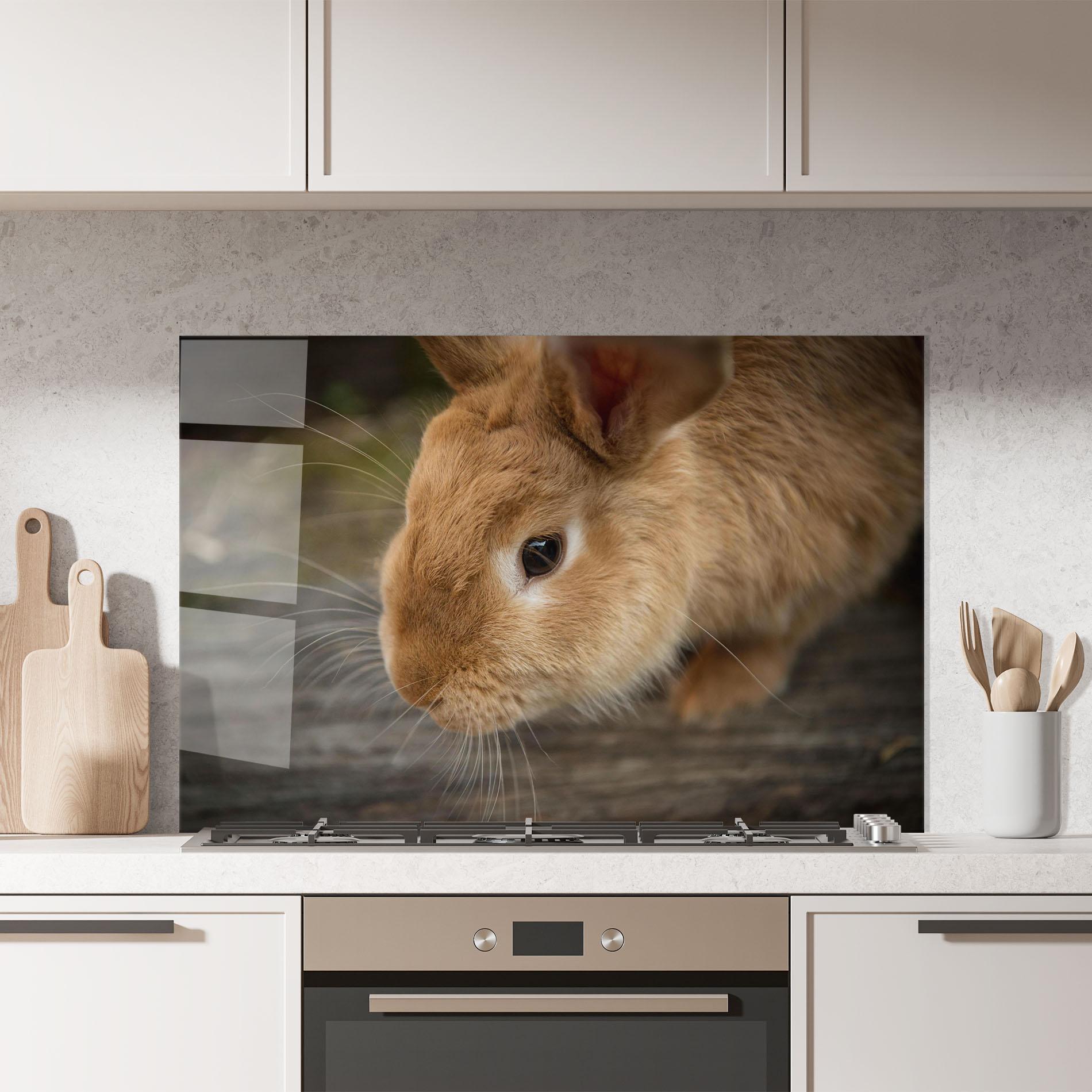 Panou Sticla Bucatarie Orange Bunny Looking mockup 7