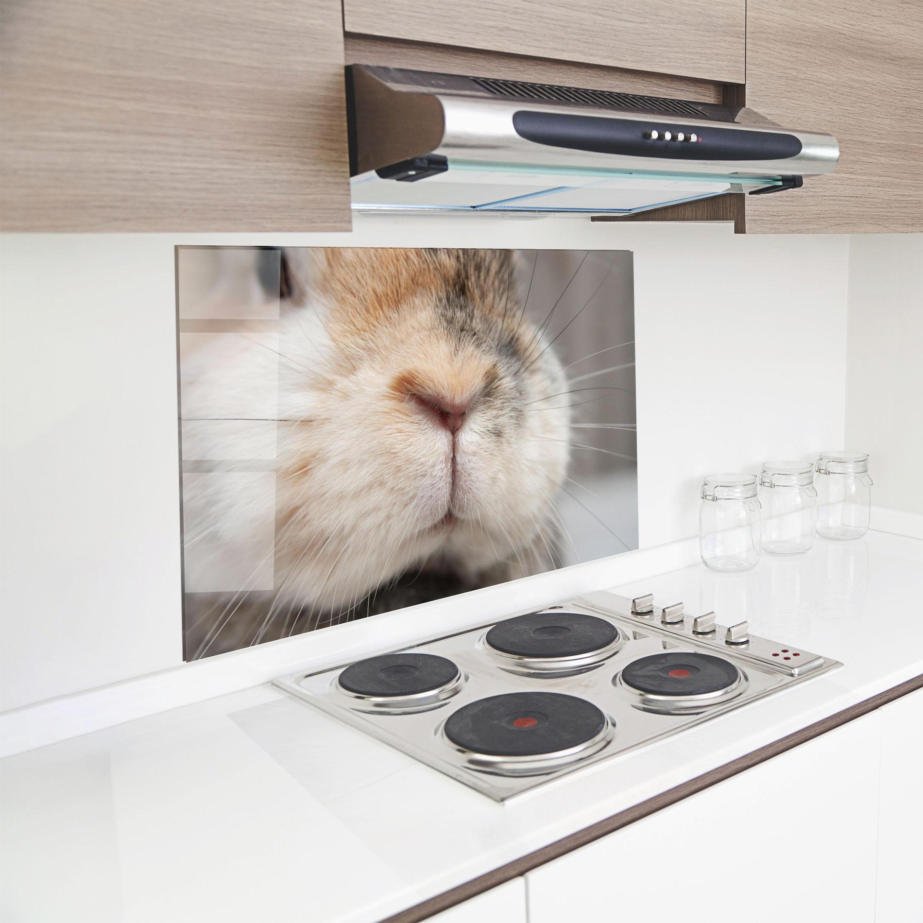 Panou Sticla Bucatarie Close Up Bunny mockup 8