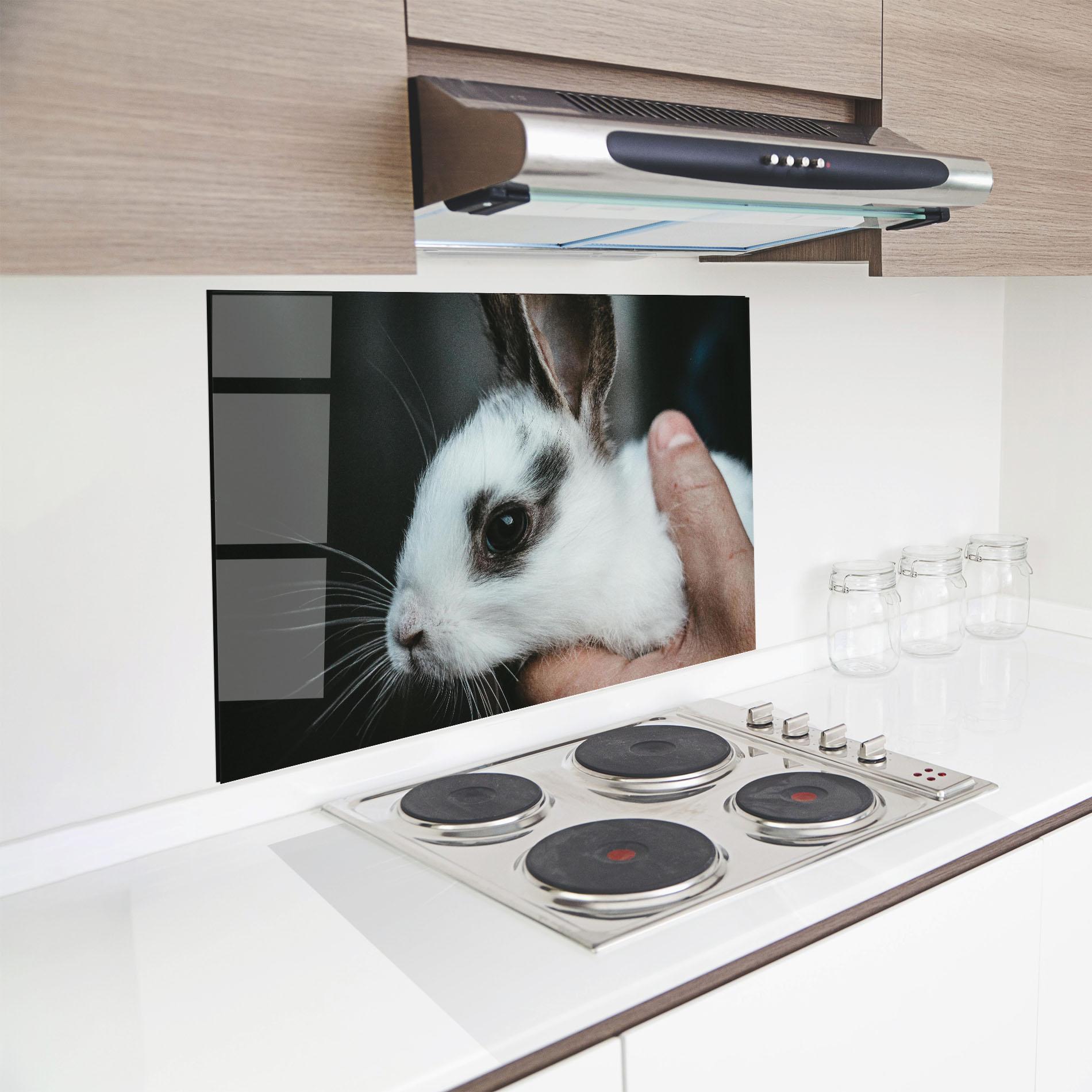 Panou Sticla Bucatarie Holding Cute Bunny mockup 8