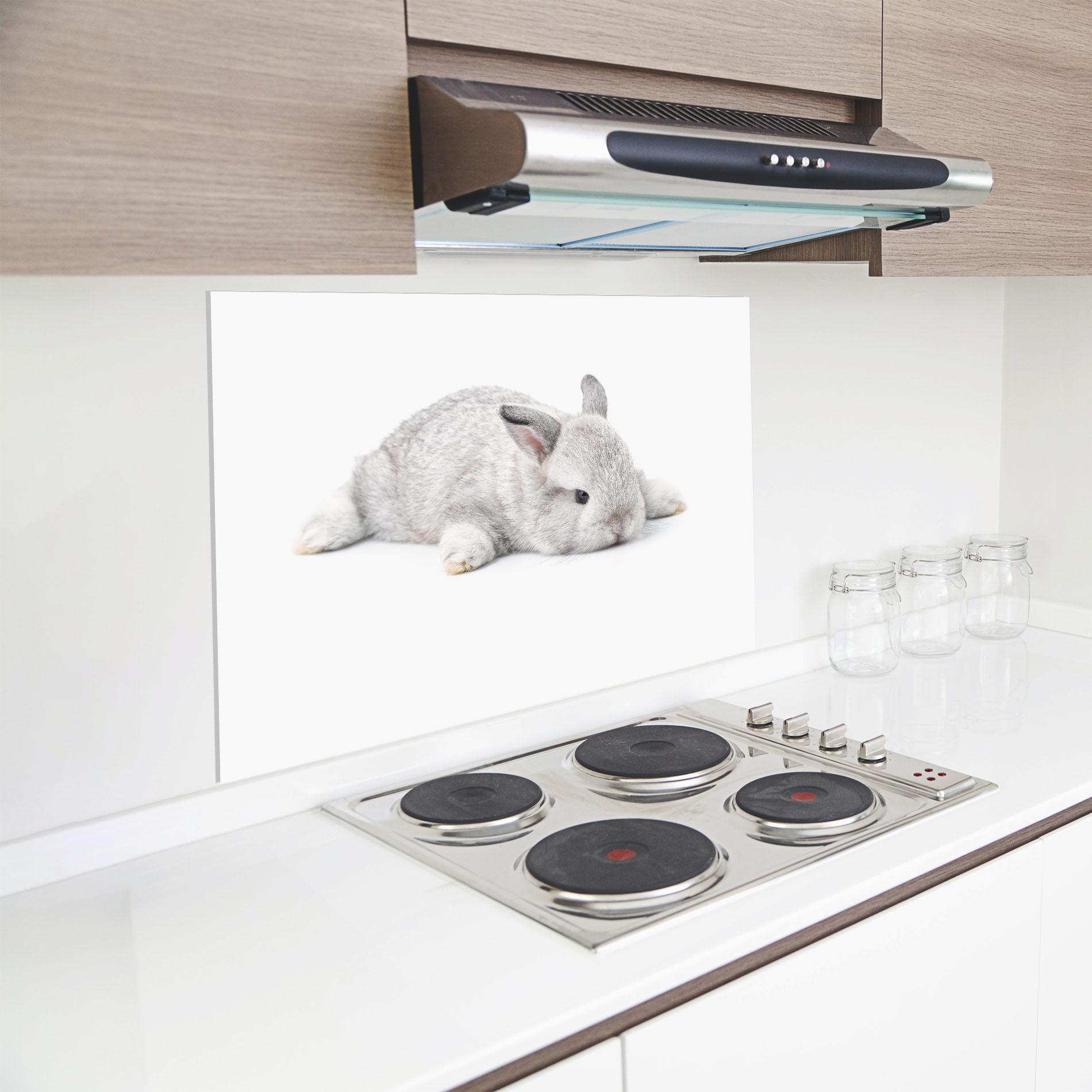 Panou Sticla Bucatarie Light Gray Bunny Sleeping mockup 8
