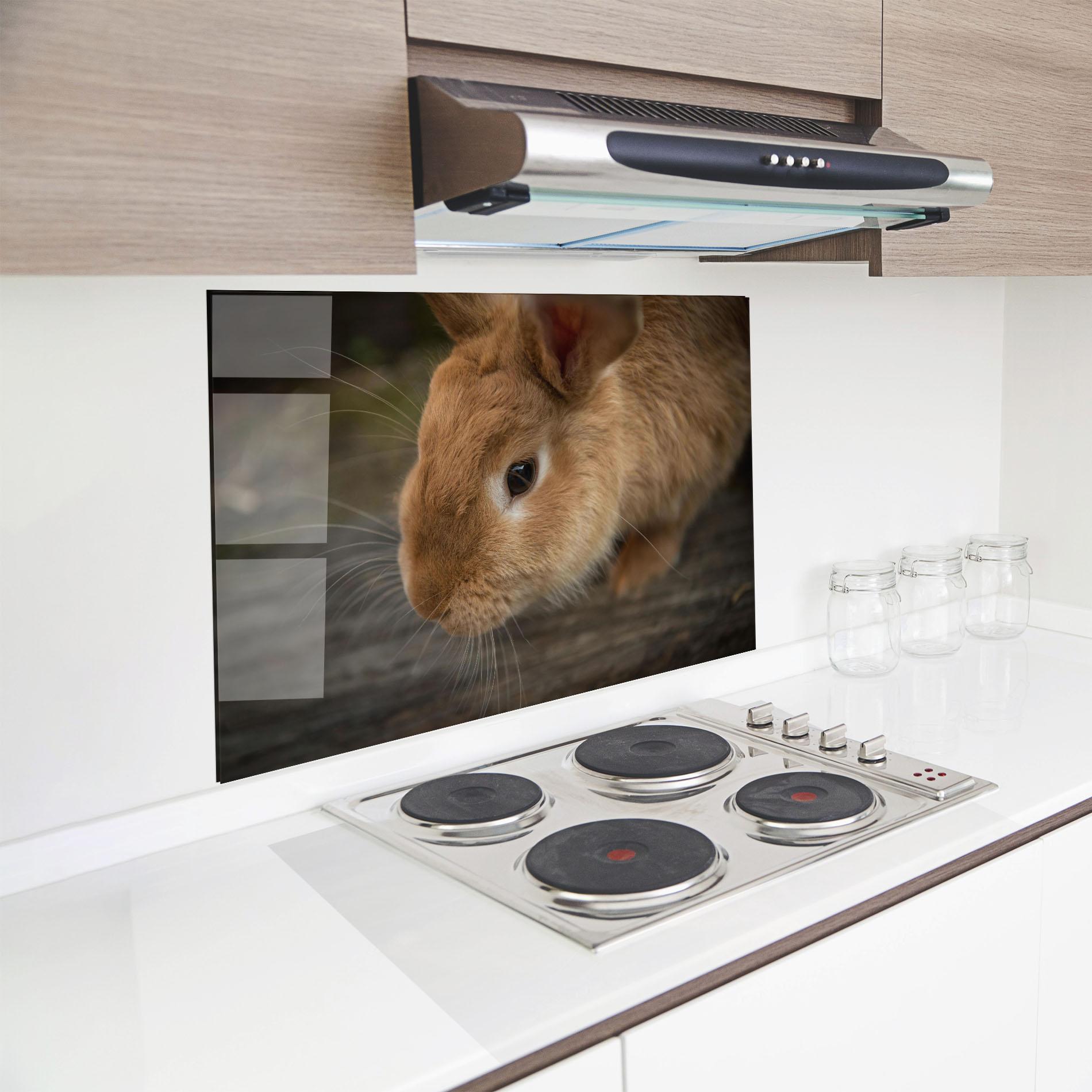 Panou Sticla Bucatarie Orange Bunny Looking mockup 8