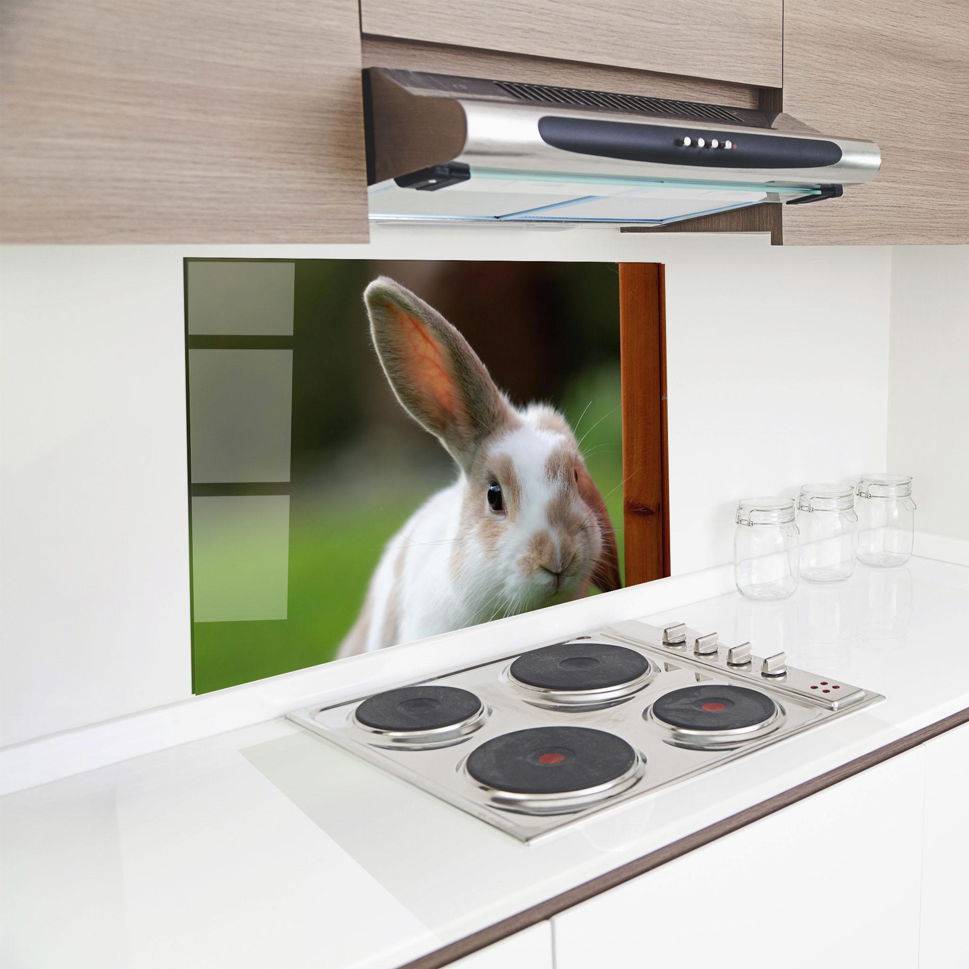 Panou Sticla Bucatarie Up Ear Bunny mockup 8