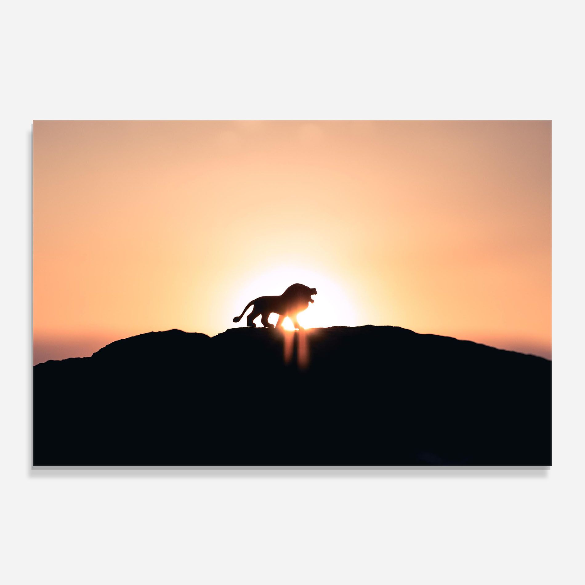 Lion Shilouette mockup 0