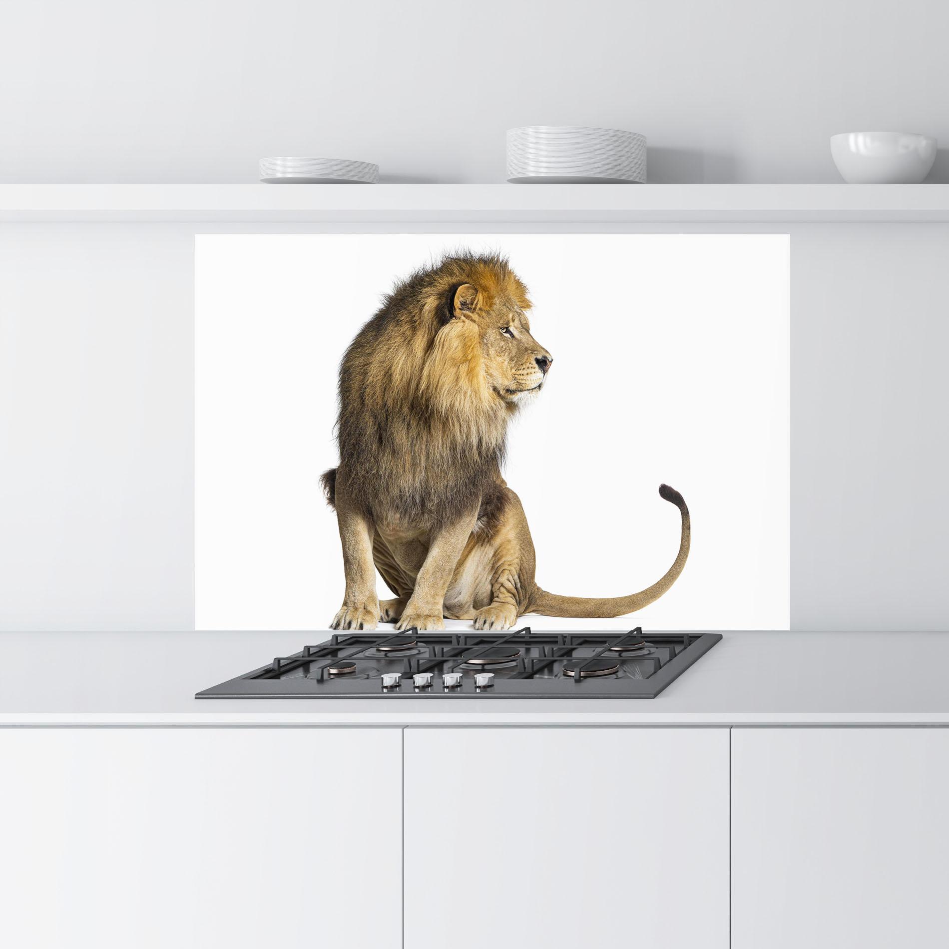 Panou Sticla Bucatarie Big Lion mockup 9