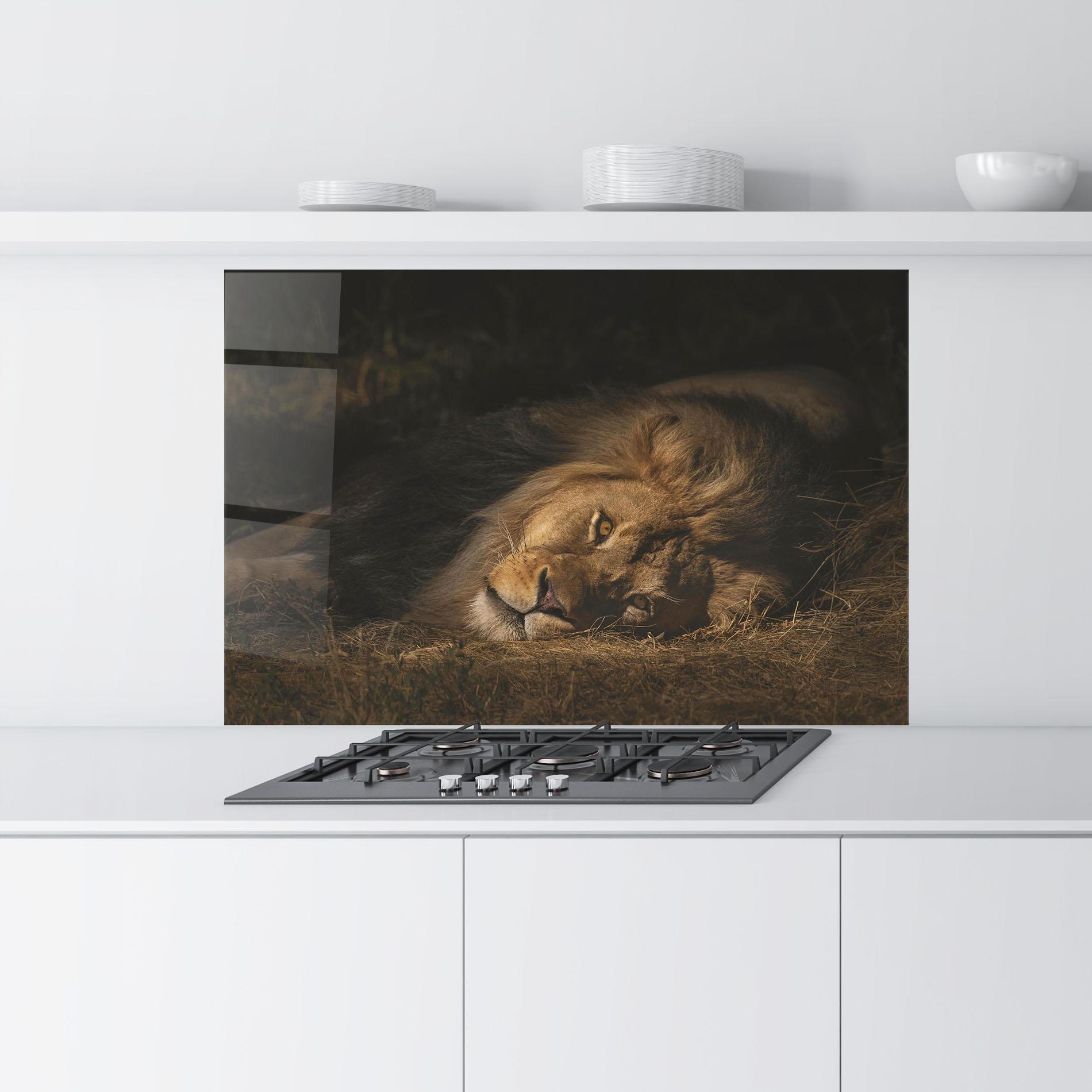 Panou Sticla Bucatarie Lion Laying Down mockup 9