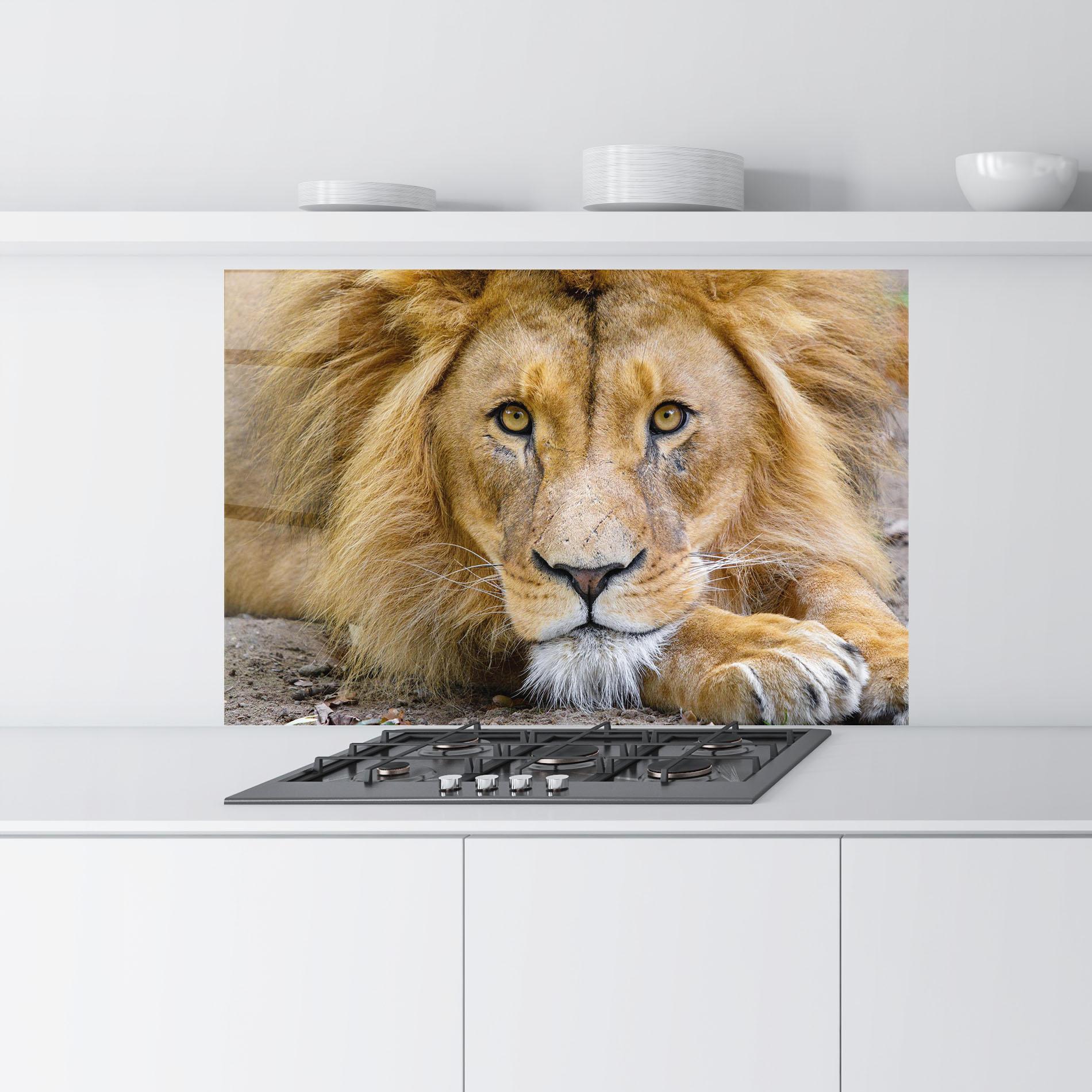 Panou Sticla Bucatarie Lion Looking mockup 9