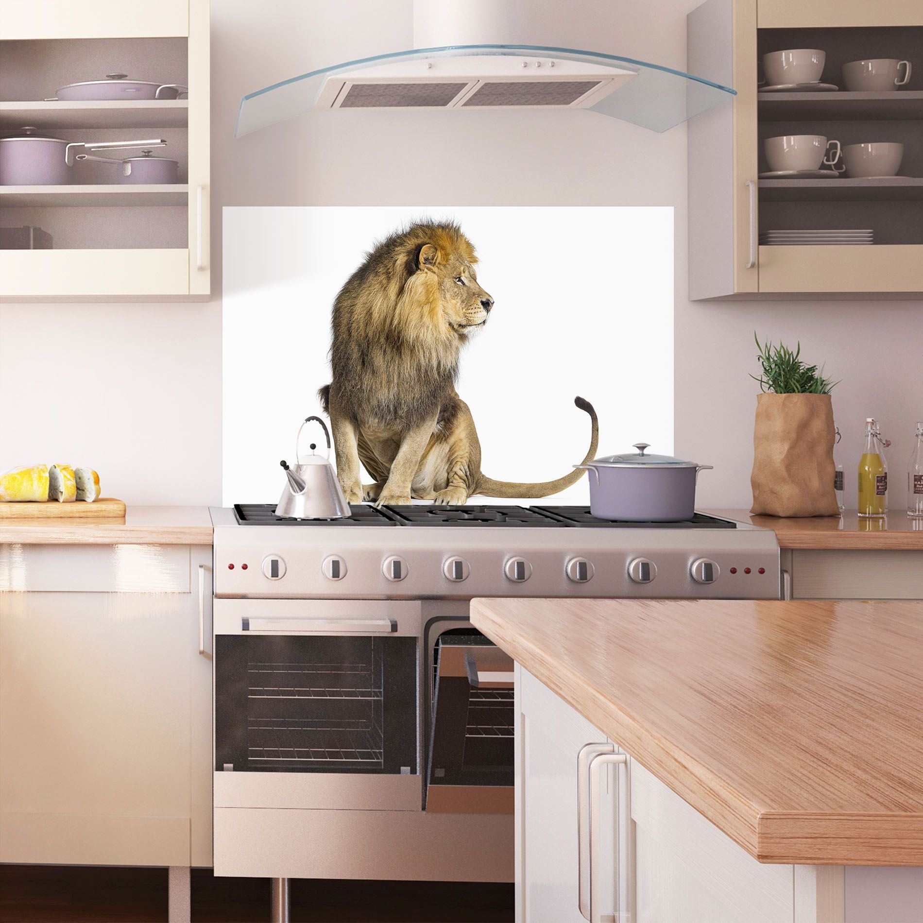 Big Lion mockup 1