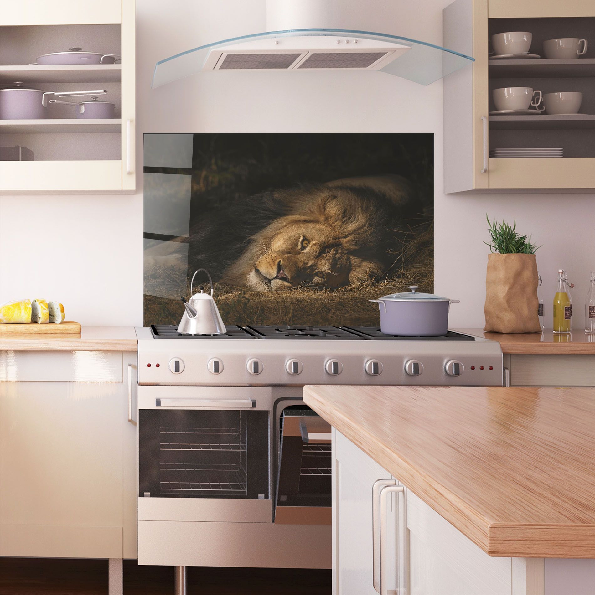 Lion Laying Down mockup 1