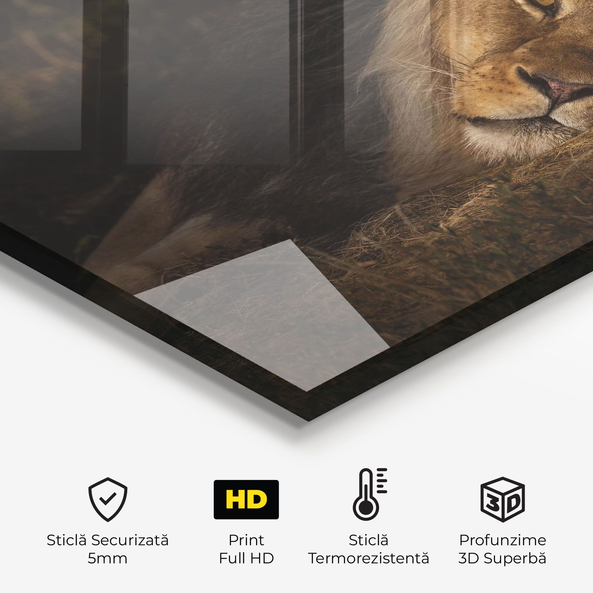 Lion Laying Down mockup 2
