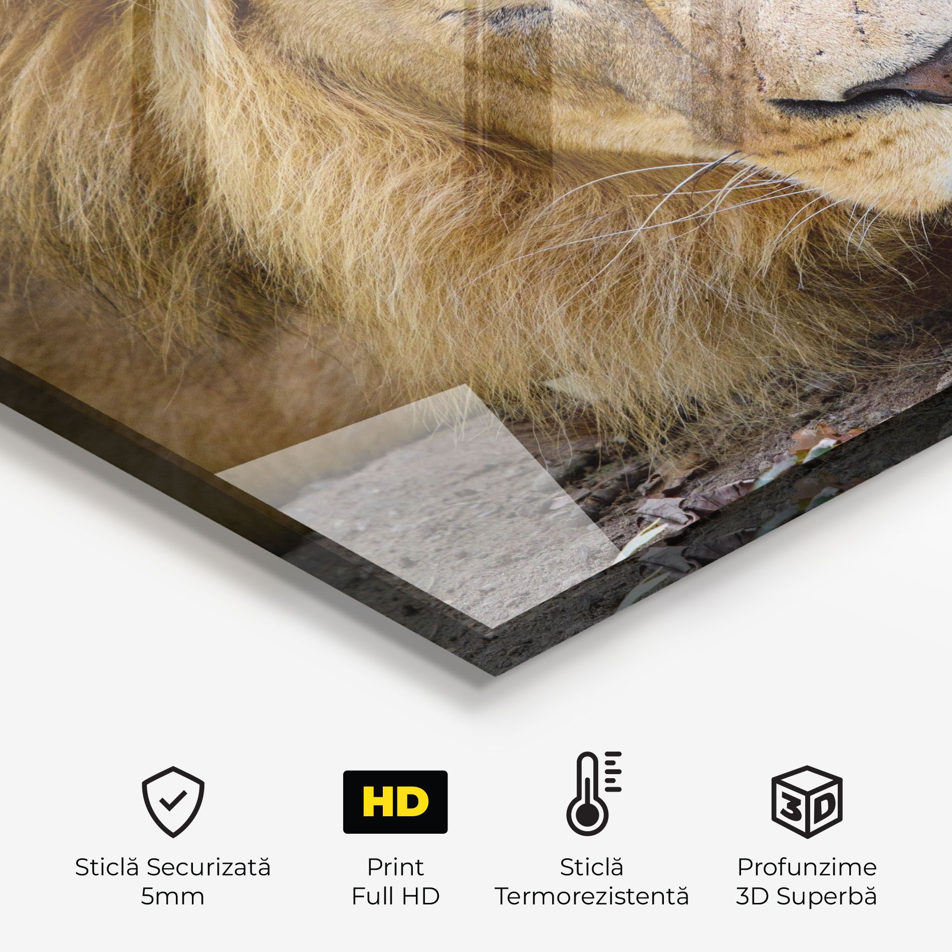 Lion Looking mockup 2