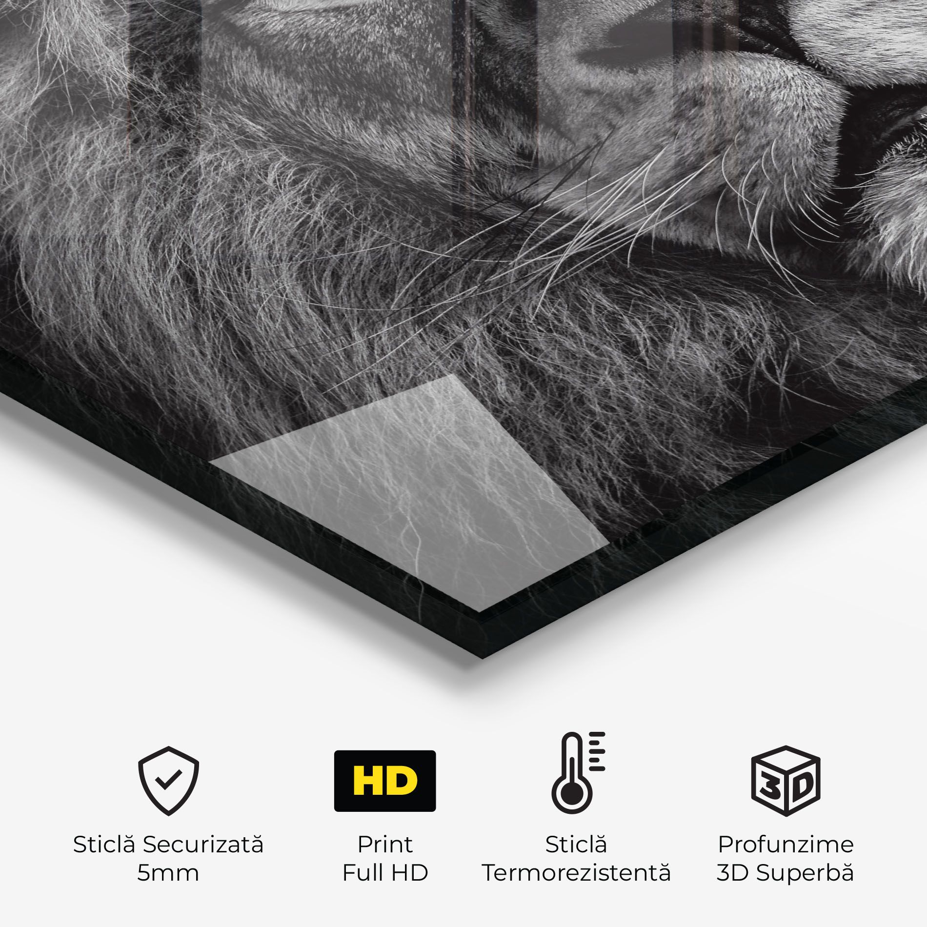 Powerful Male Lion mockup 2