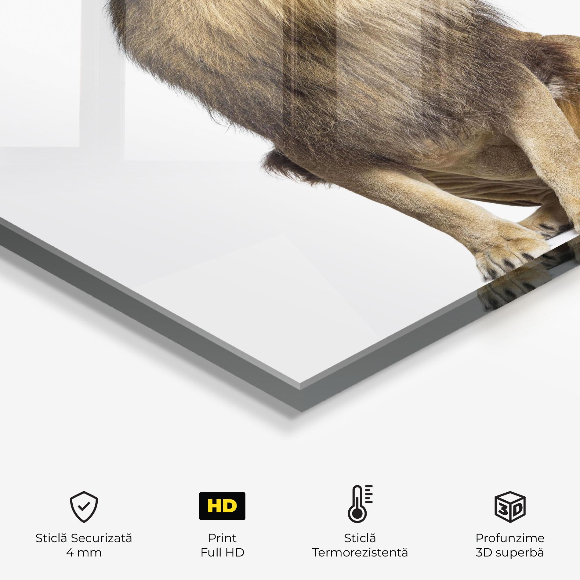 Panou Sticla Bucatarie Big Lion mockup 2