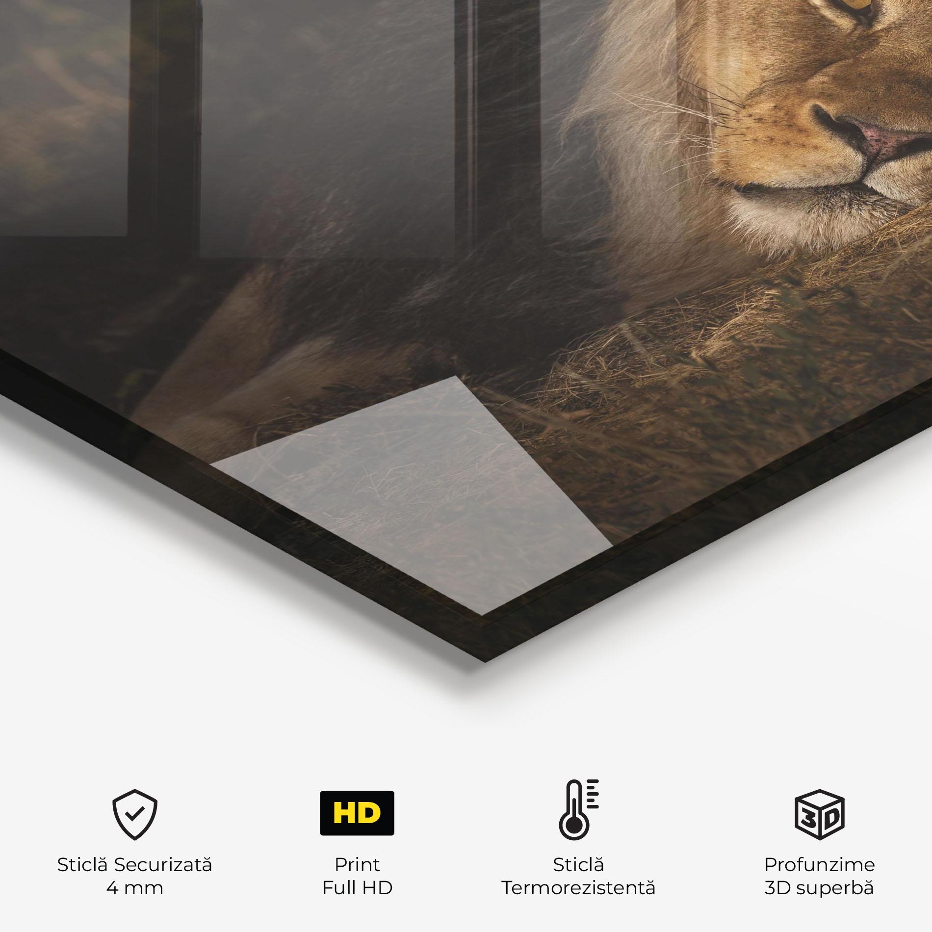 Panou Sticla Bucatarie Lion Laying Down mockup 2