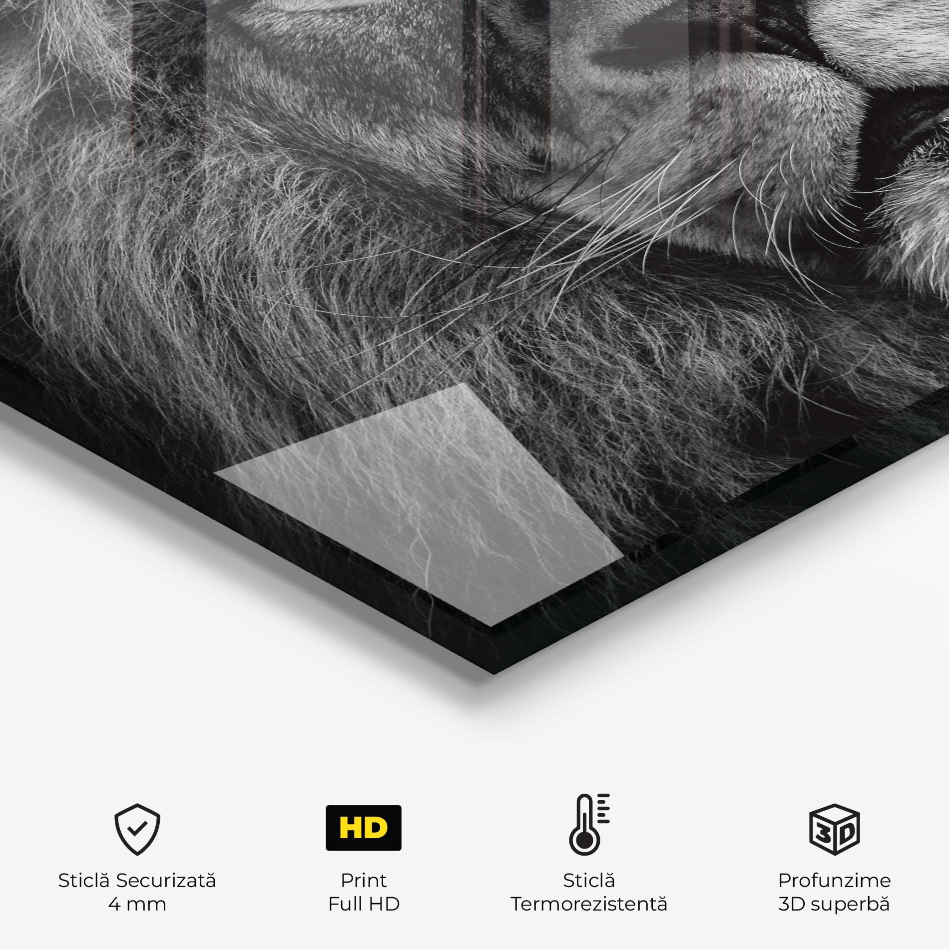 Panou Sticla Bucatarie Powerful Male Lion mockup 2