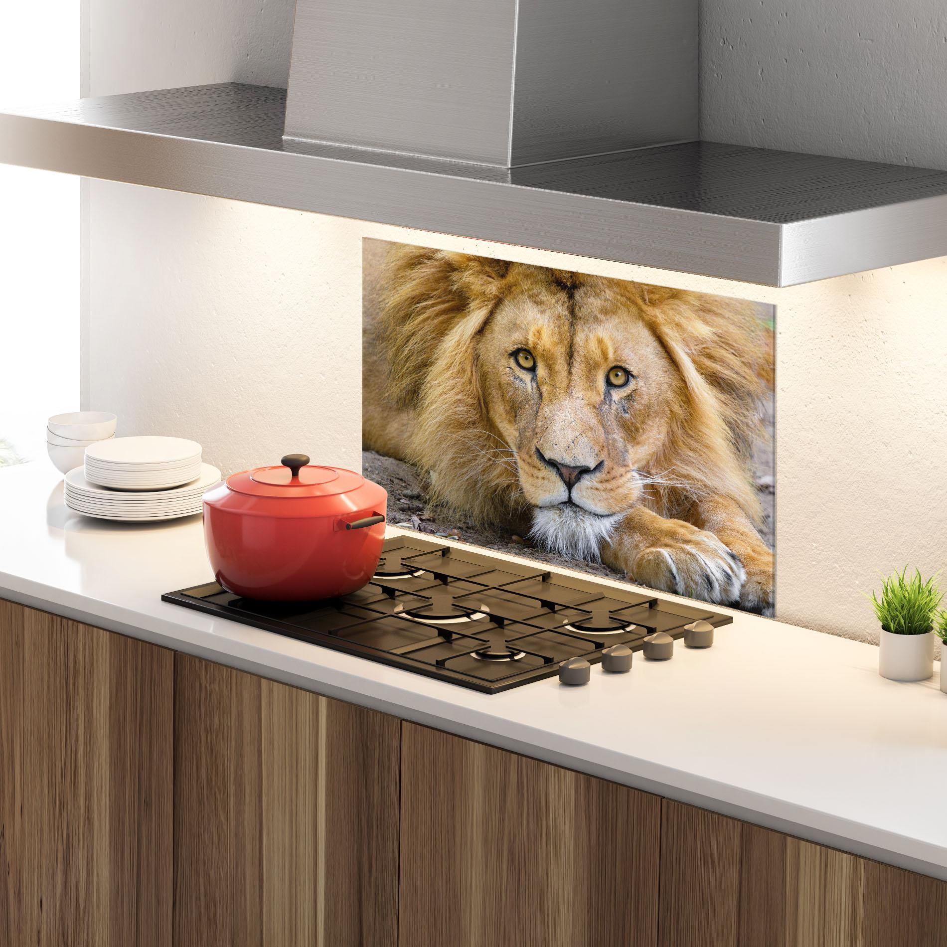 Panou Sticla Bucatarie Lion Looking mockup 4