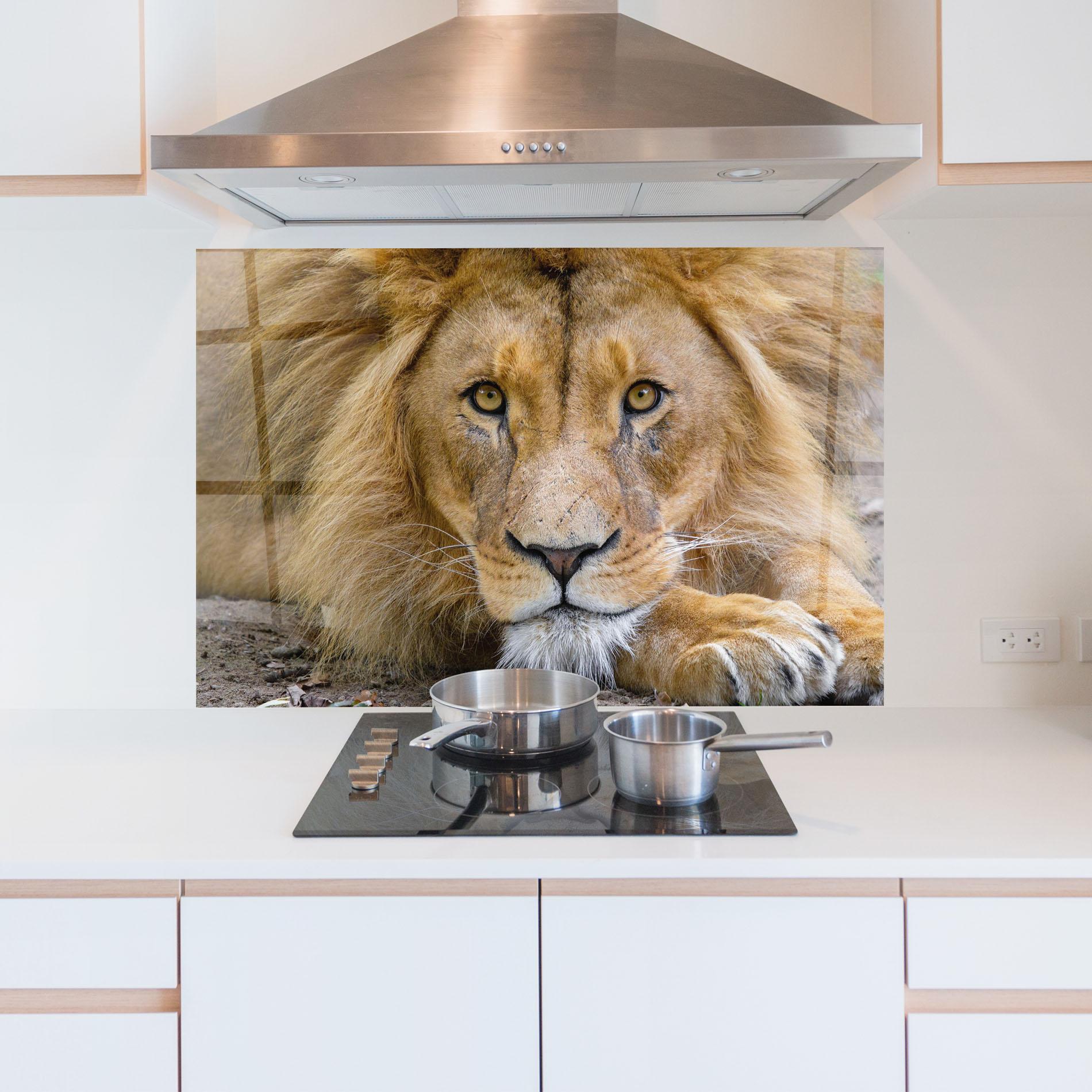 Panou Sticla Bucatarie Lion Looking mockup 5