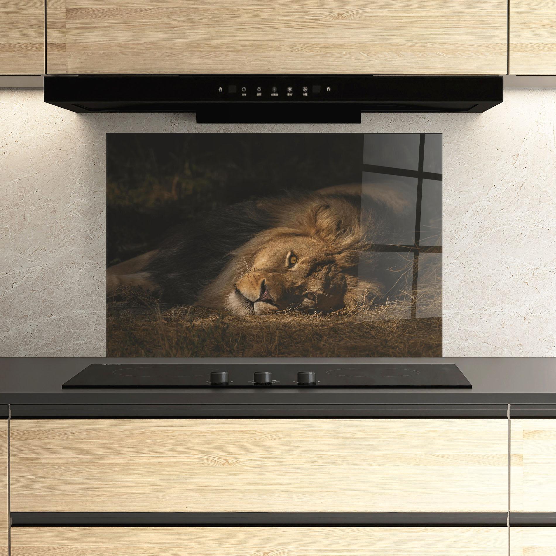 Panou Sticla Bucatarie Lion Laying Down mockup 3