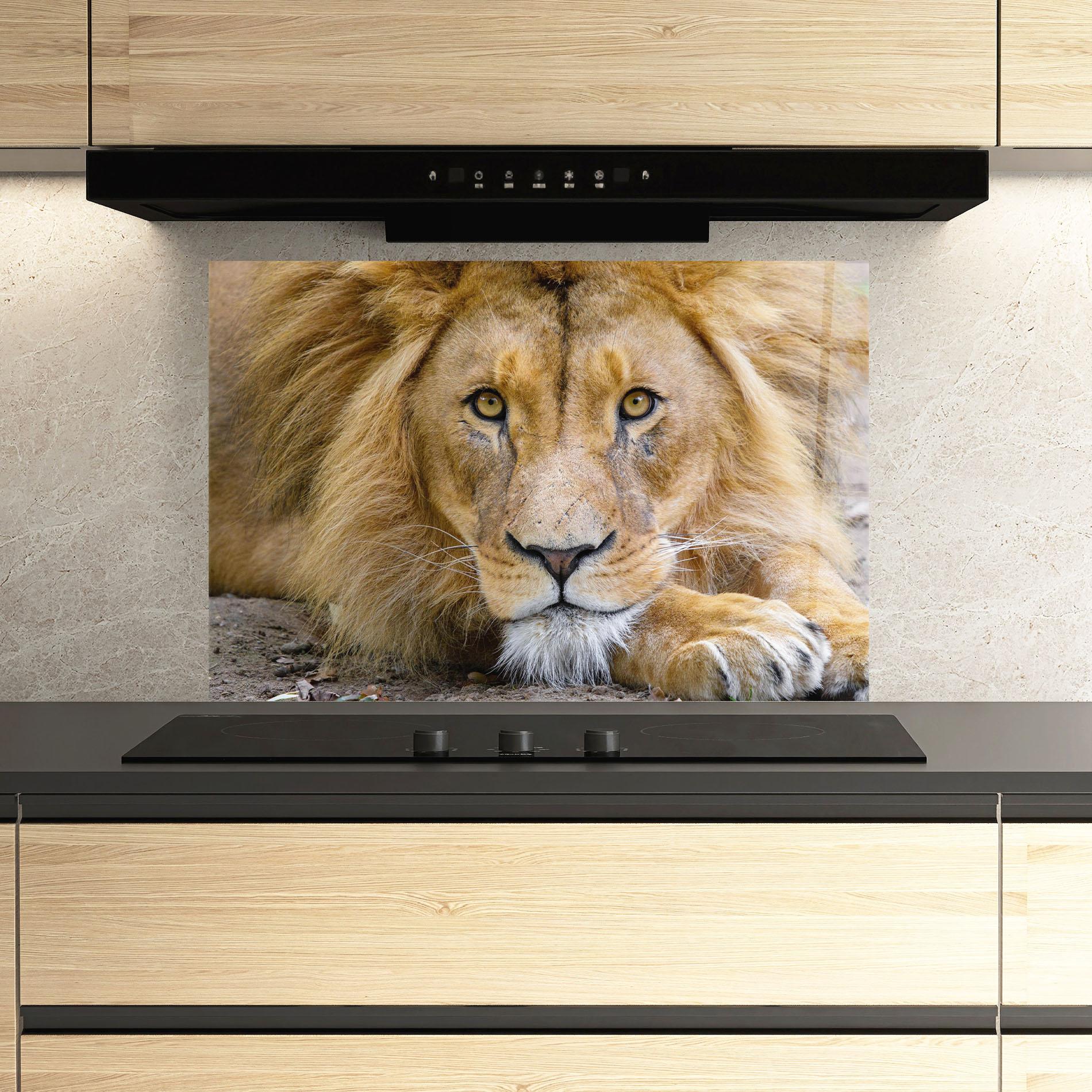 Panou Sticla Bucatarie Lion Looking mockup 3