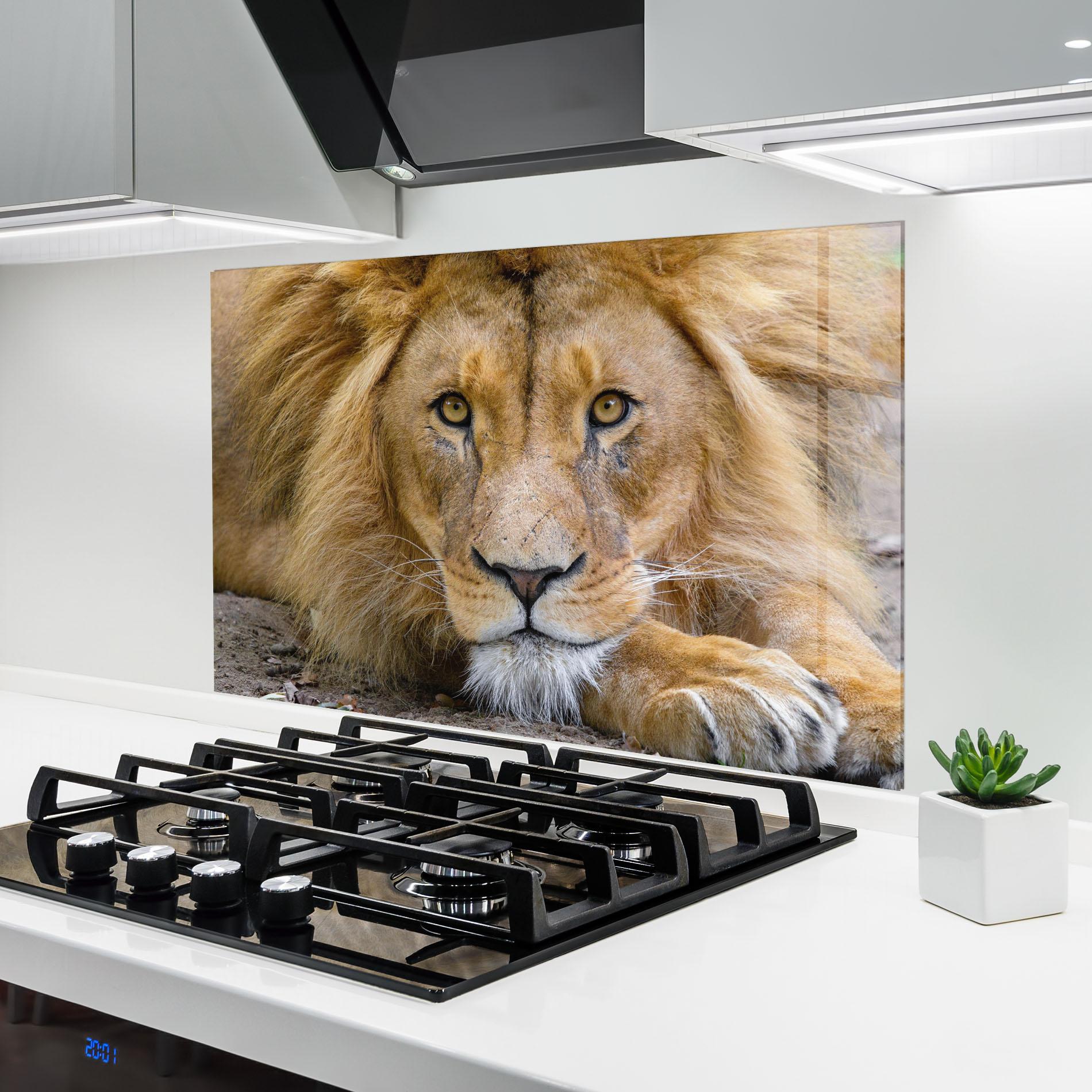Panou Sticla Bucatarie Lion Looking mockup 6