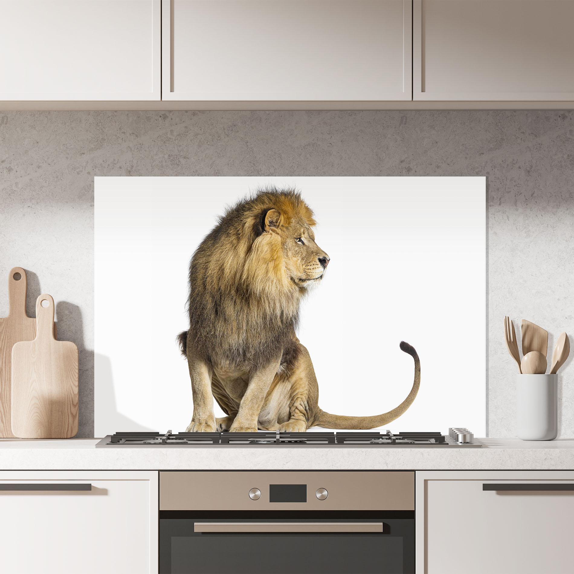 Panou Sticla Bucatarie Big Lion mockup 7