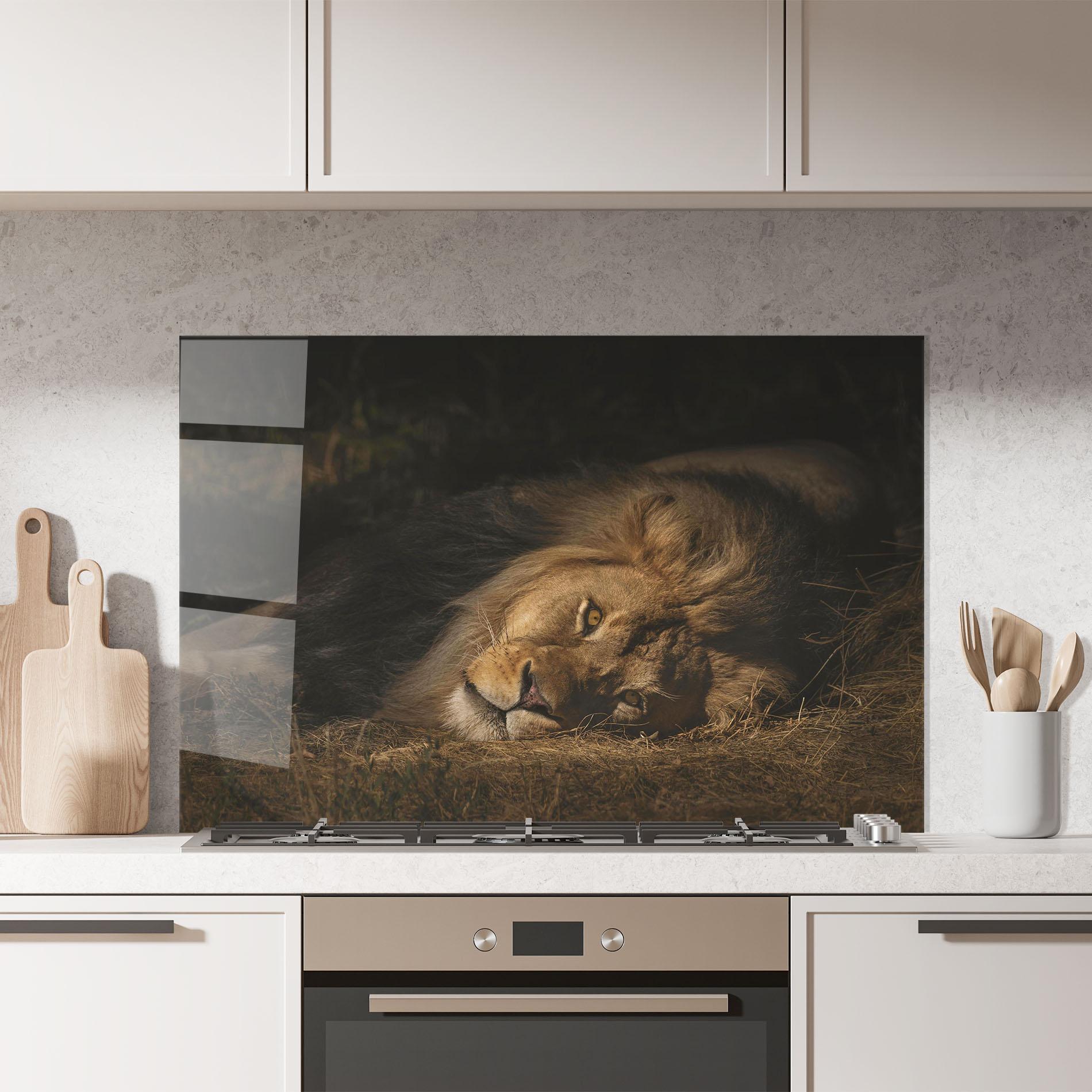 Panou Sticla Bucatarie Lion Laying Down mockup 7