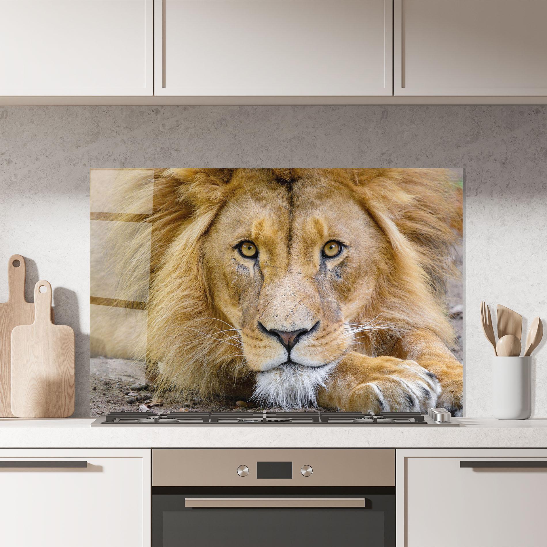 Panou Sticla Bucatarie Lion Looking mockup 7