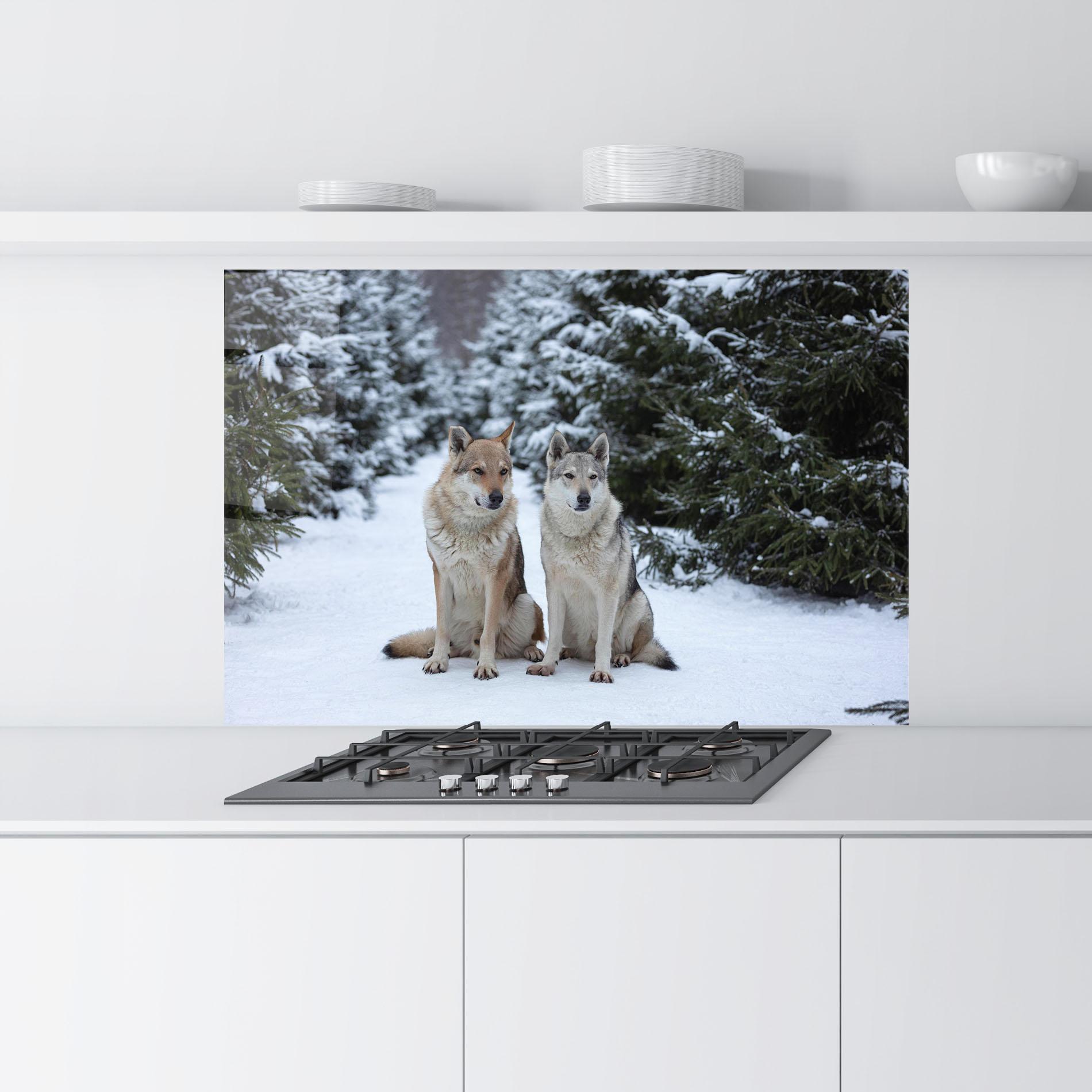 Panou Sticla Bucatarie 2 Wolfs Sitting mockup 9