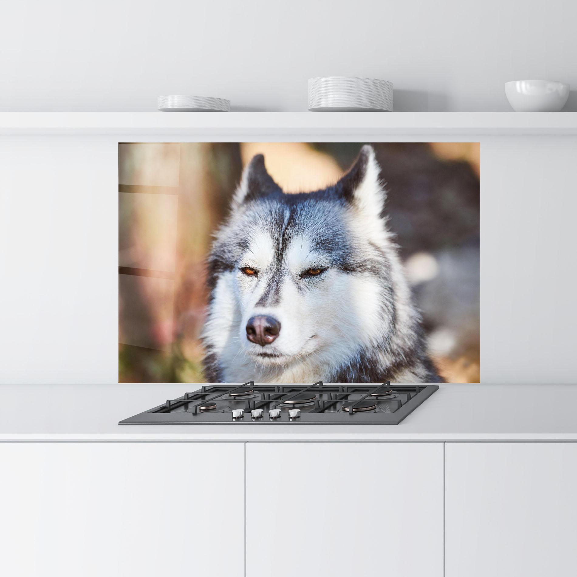 Panou Sticla Bucatarie Annoyed Wolf mockup 9