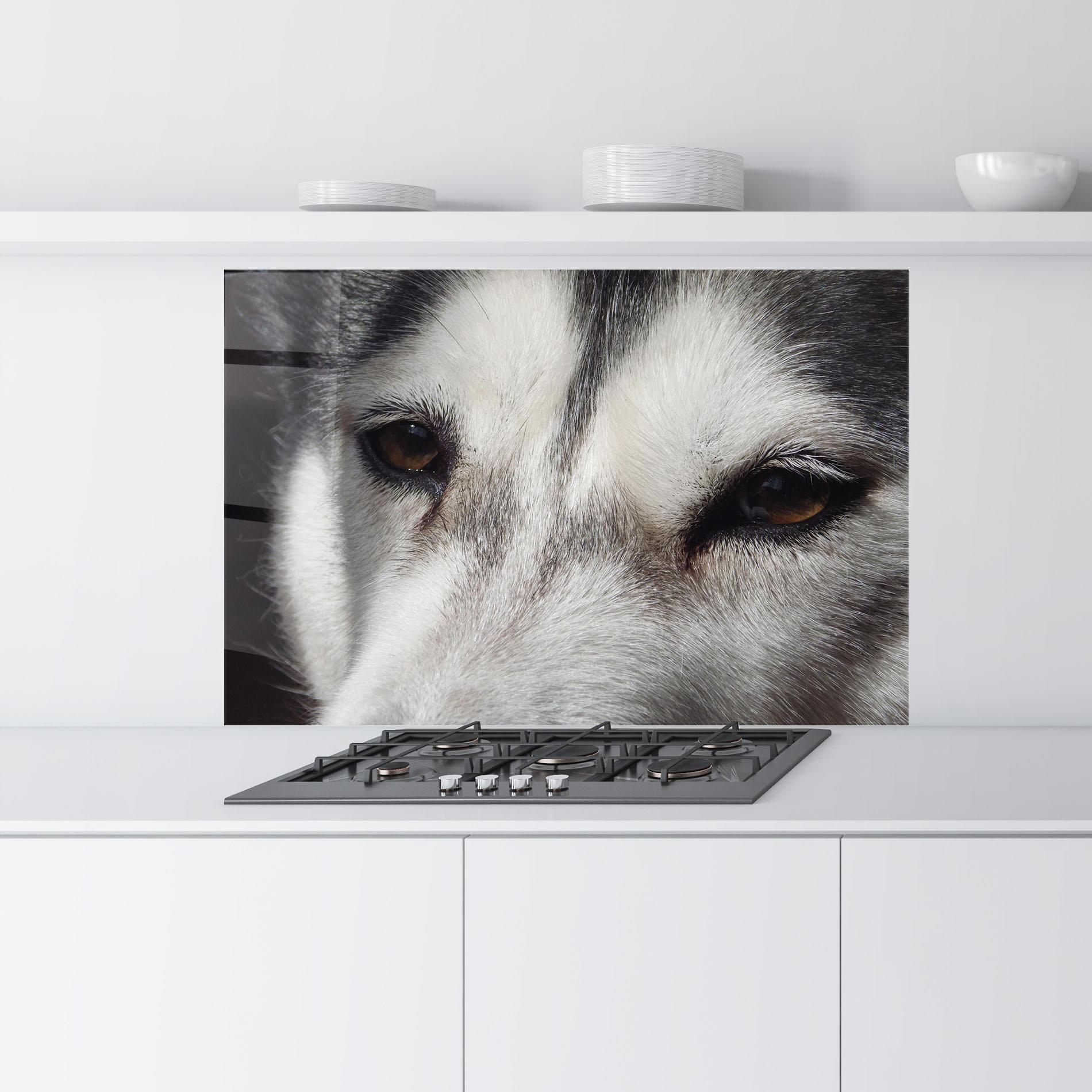 Panou Sticla Bucatarie Close Up Wolf mockup 9