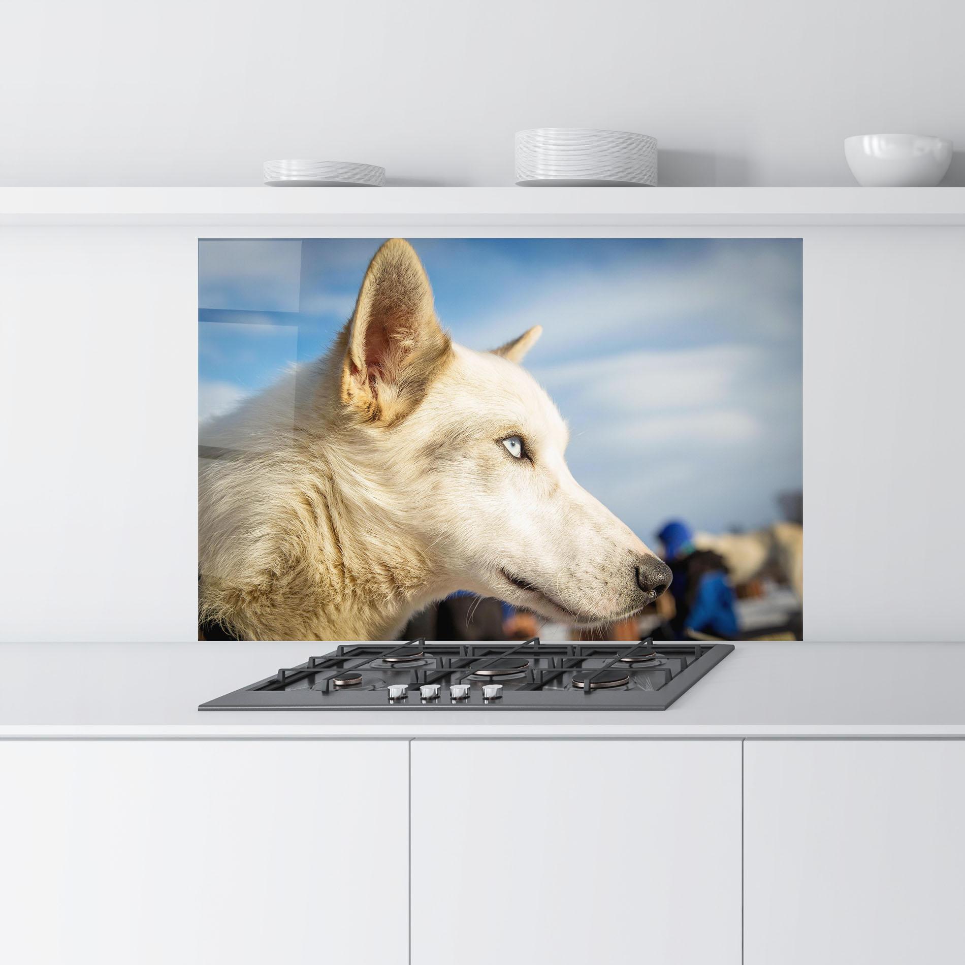 Panou Sticla Bucatarie White Wolf Looking mockup 9