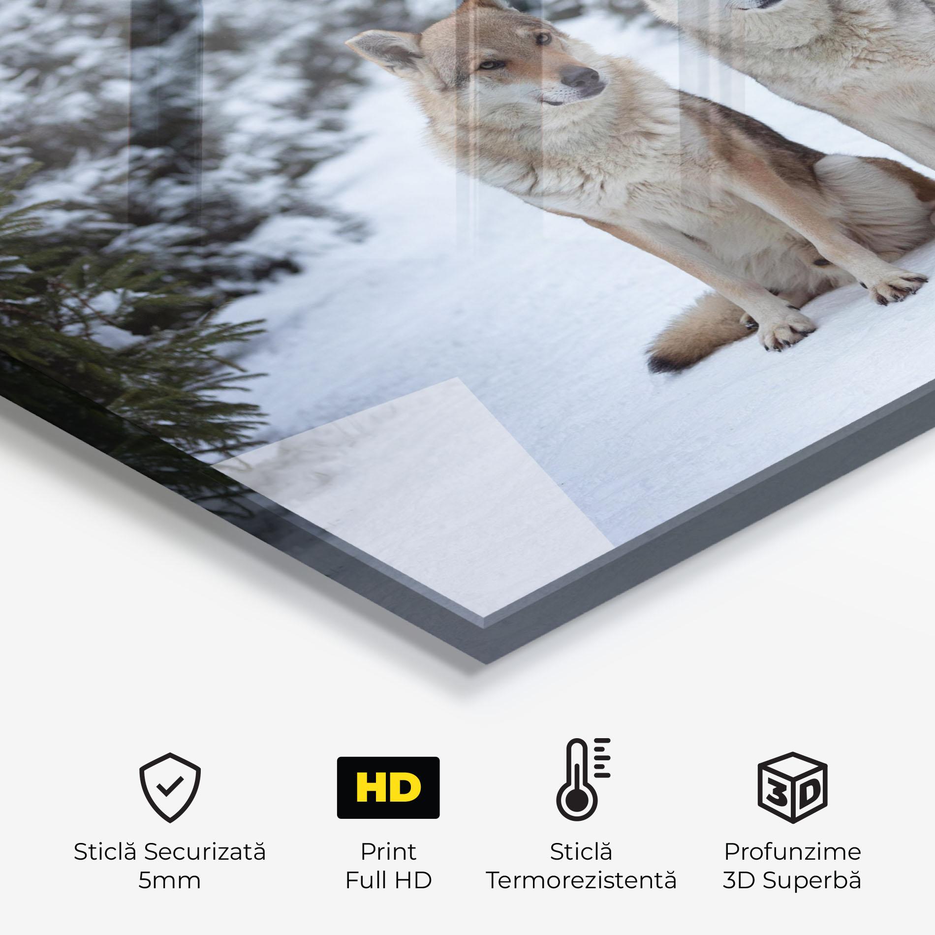 Panou Sticla Bucatarie 2 Wolfs Sitting mockup 2